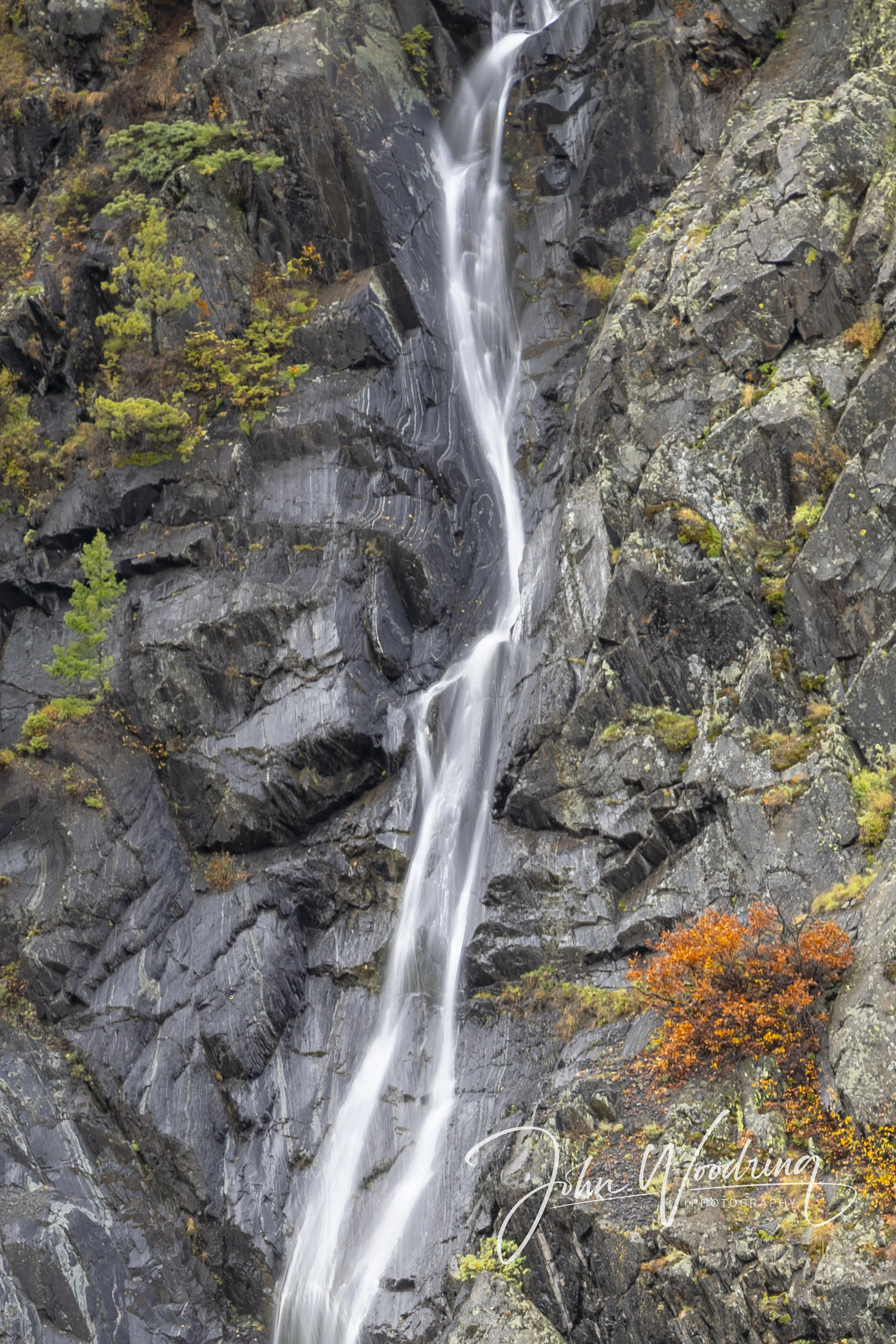 Montrose October 26-1.jpg