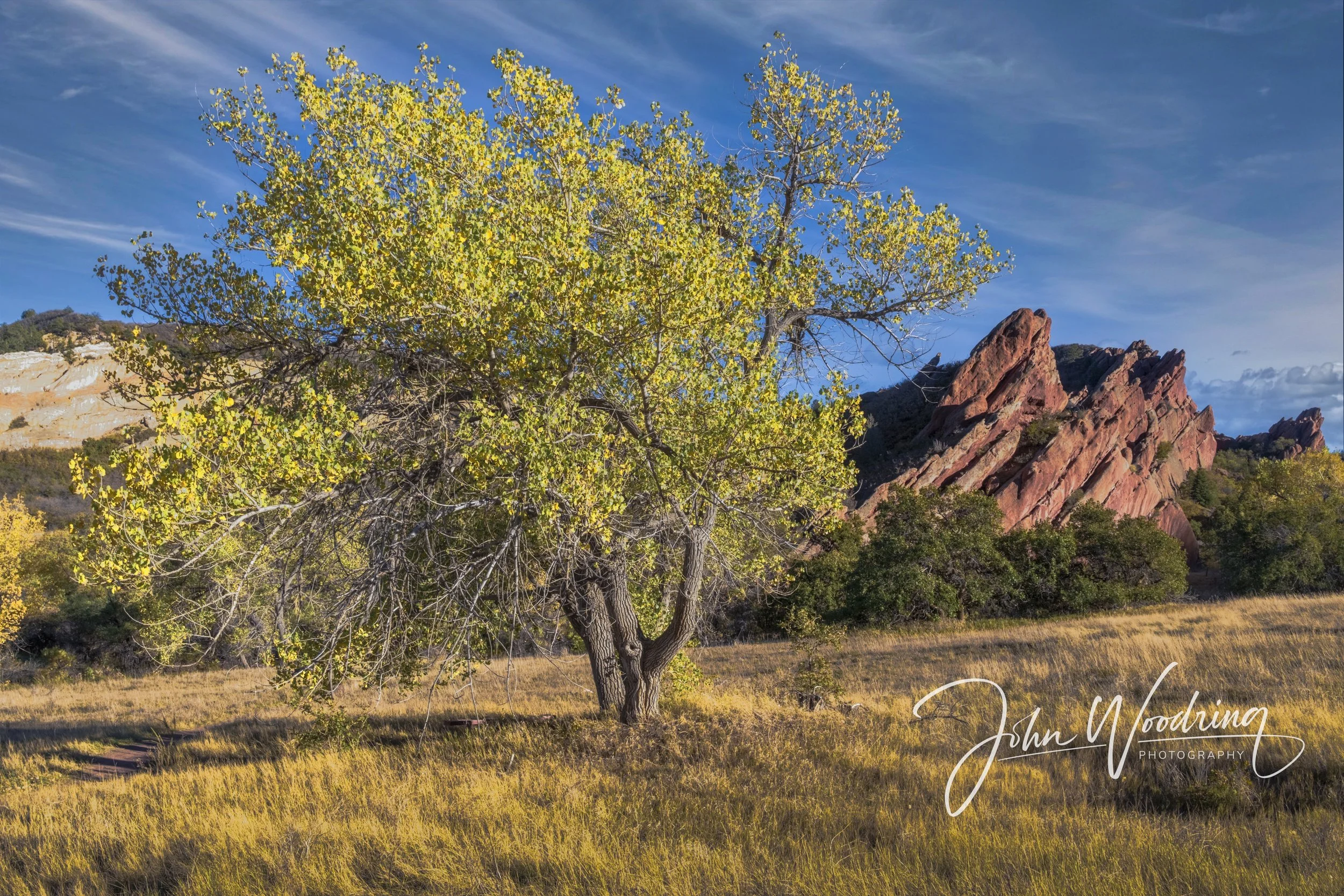 Roxborough 20261017-3.jpg