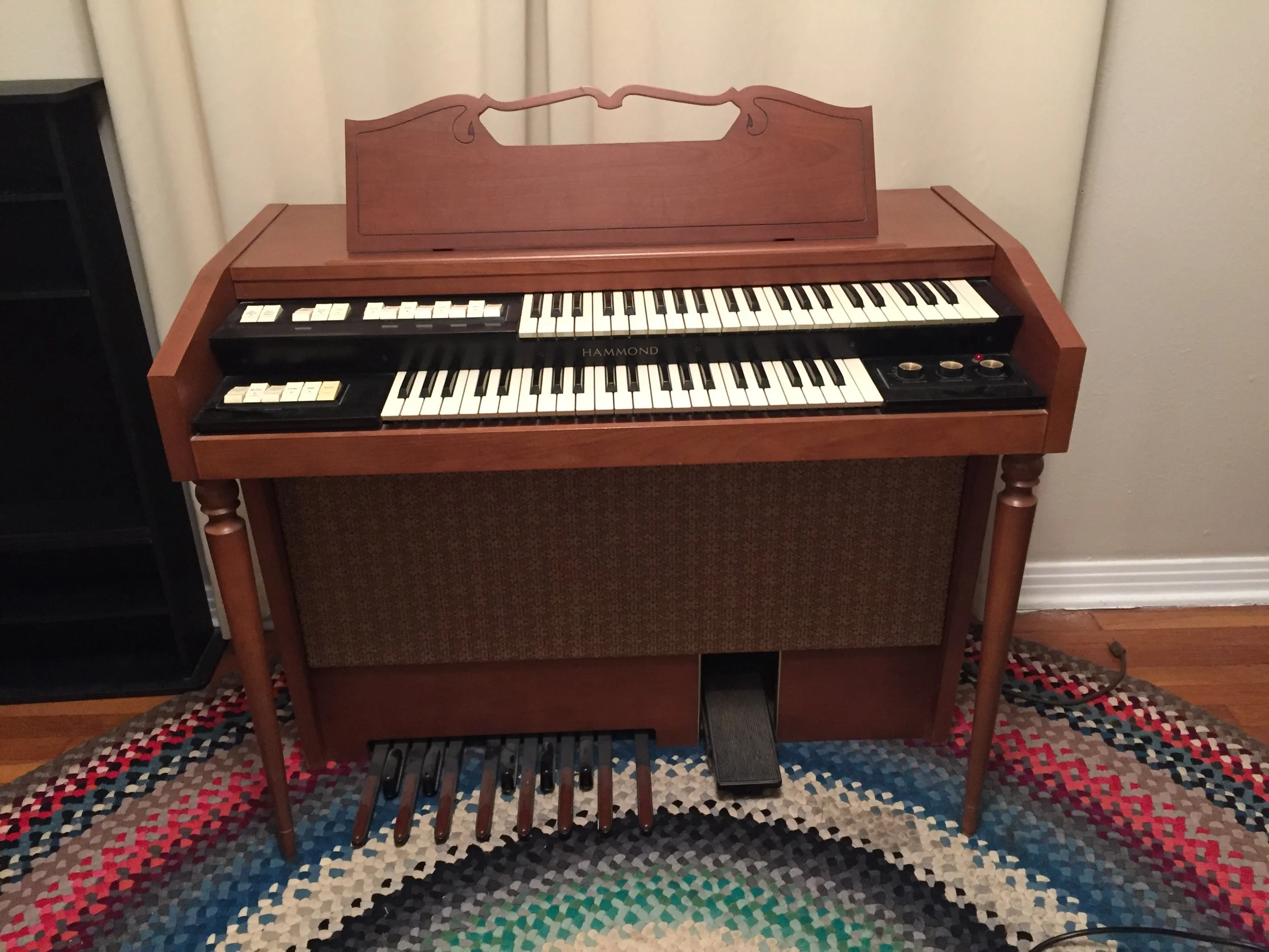 The Organ Circa 2015-2016 during recording of RESCUE