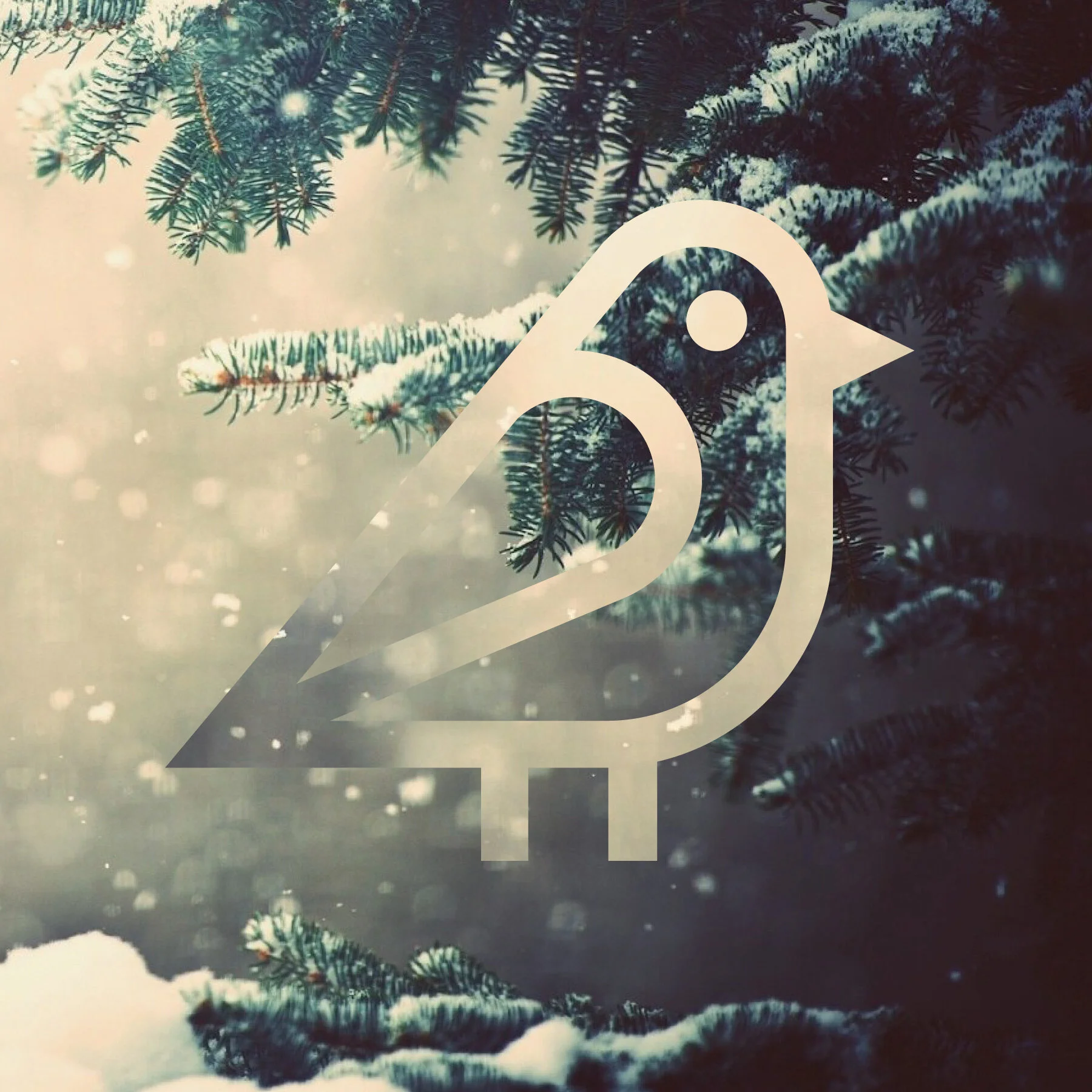 PP-Happy Holidays 2017-Front.jpg