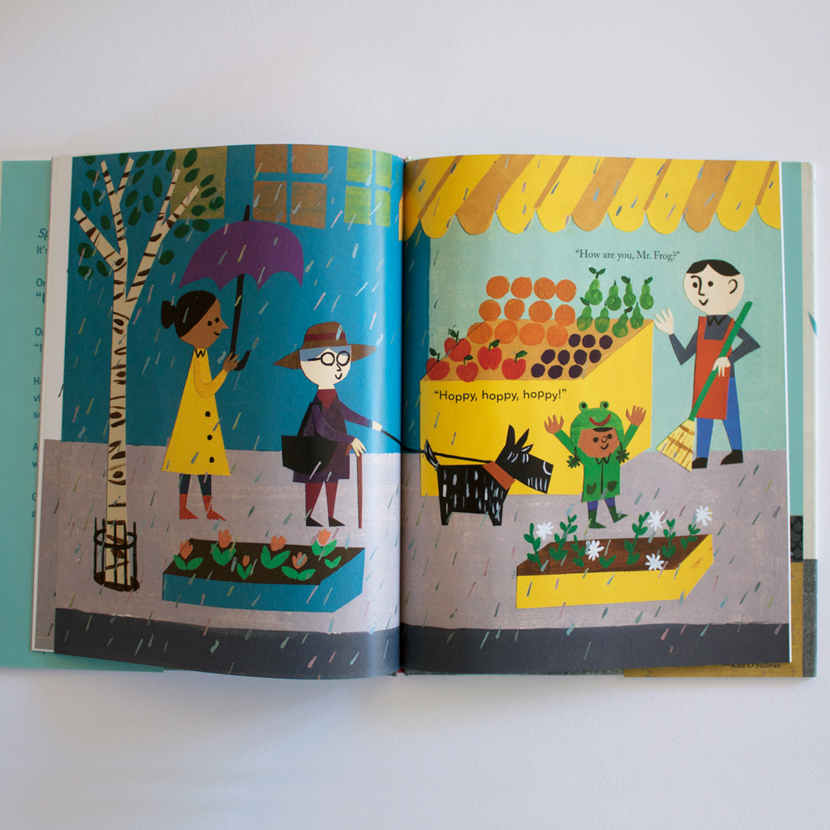 rain_5-book-template.jpg