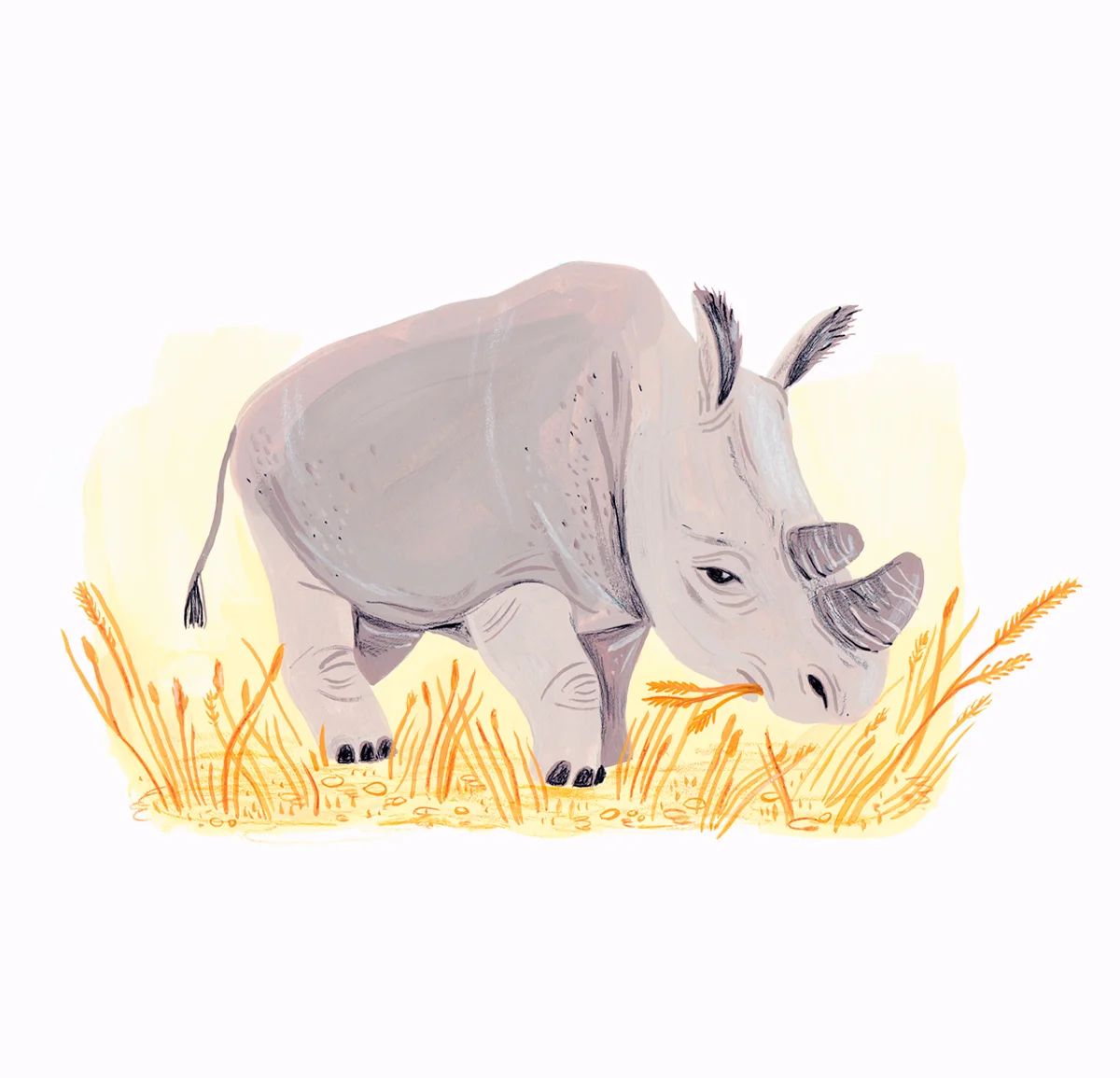 ©eviebarrow_rhino_sudan.jpg