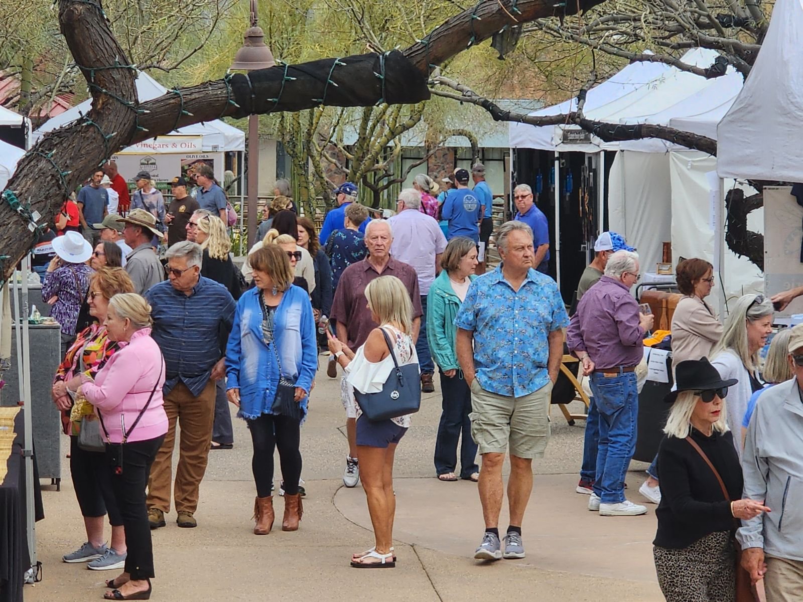 Cave Creek Sculpture &amp; Wine Festival