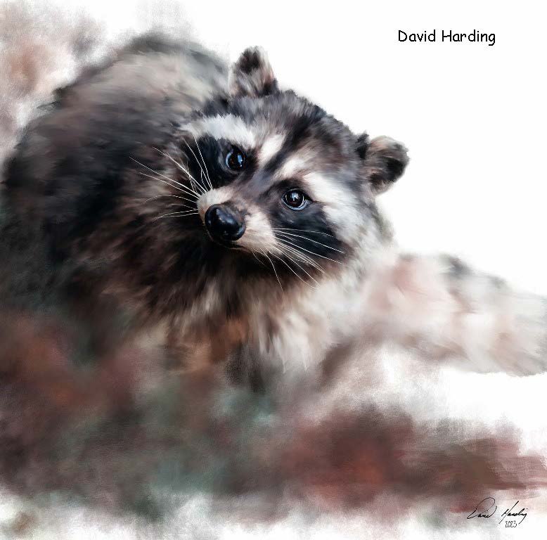 DavidHarding.jpg