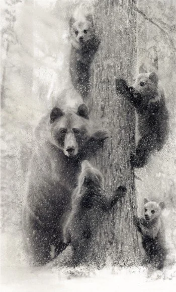 doug wodark -Mama Bear Family 399.jpeg