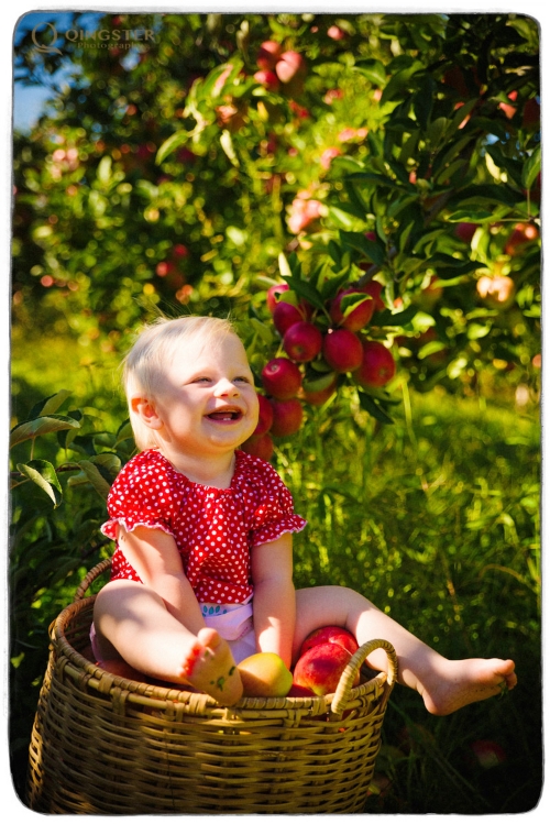 Wairarapa Newborn & Toddler Photographer