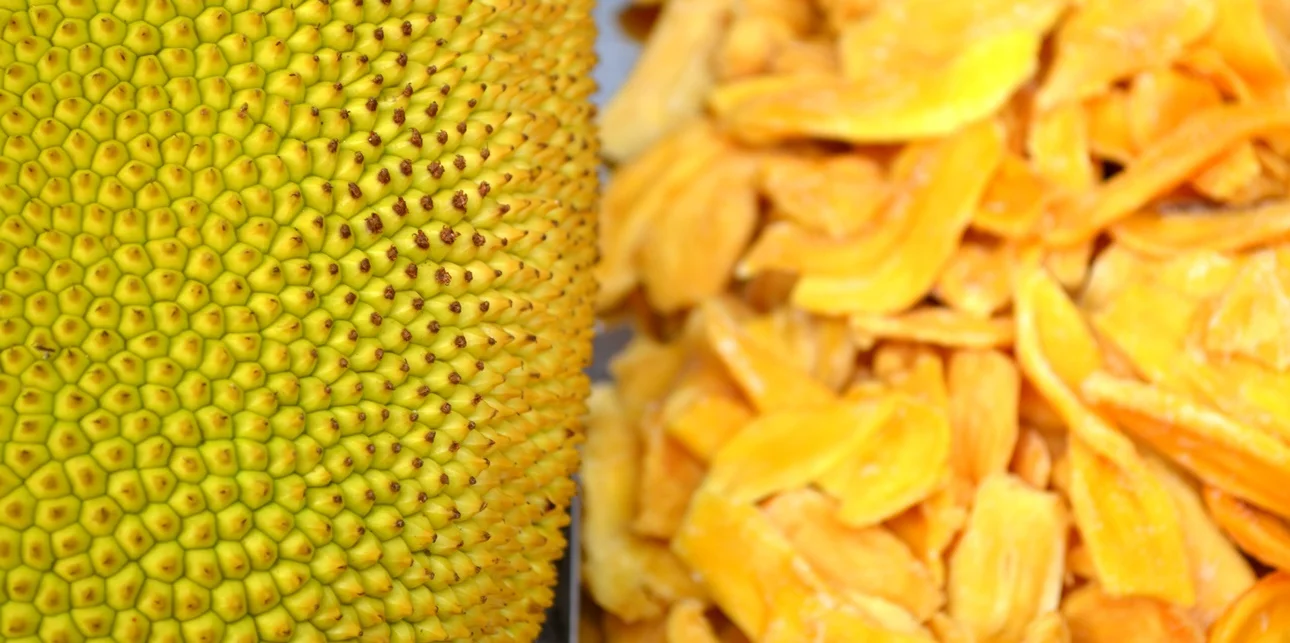 Jackfruit Meets Dried Jackfruit - Global Village Fruits.jpg