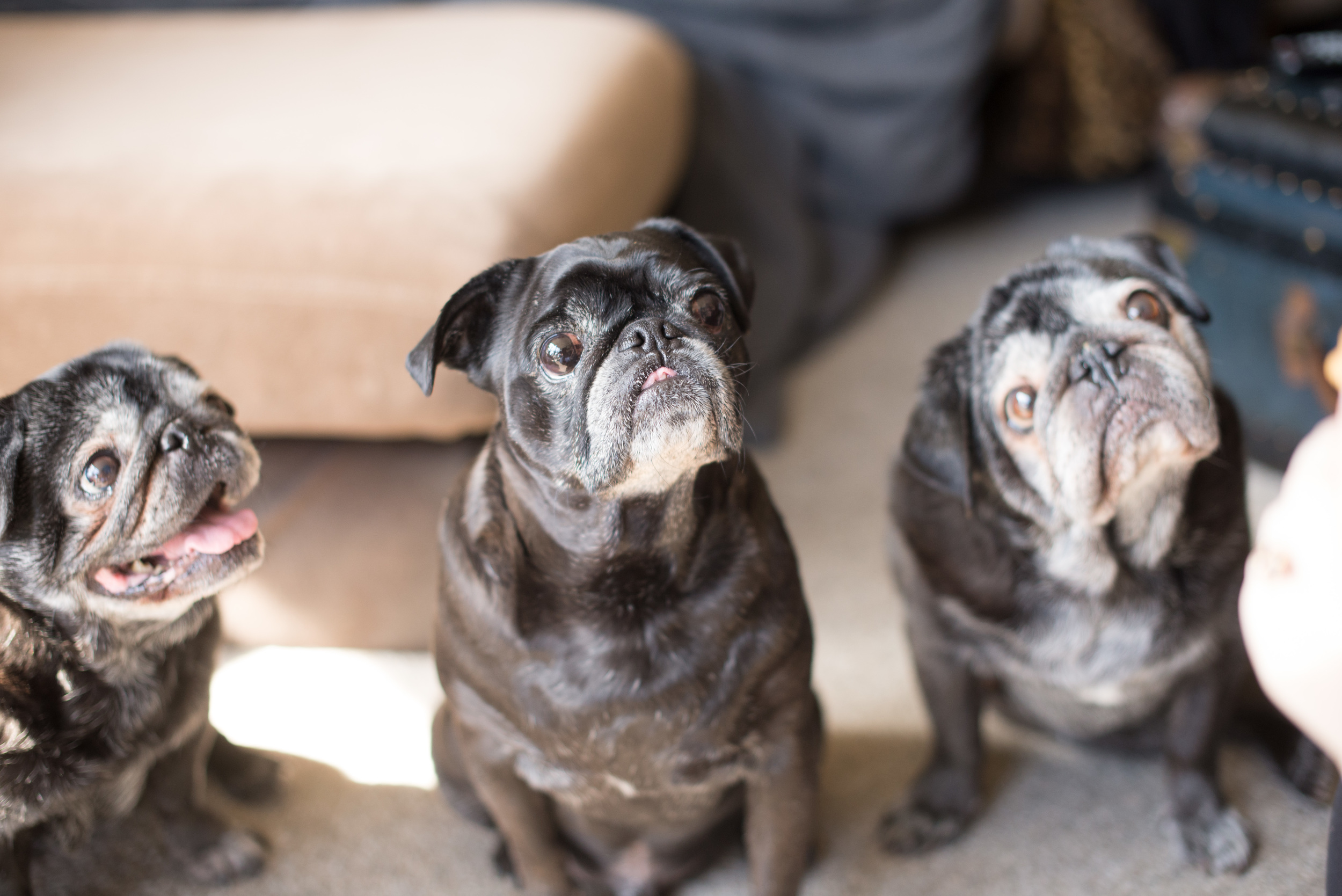 The crew, Leia, Miso & Luke. March 2014