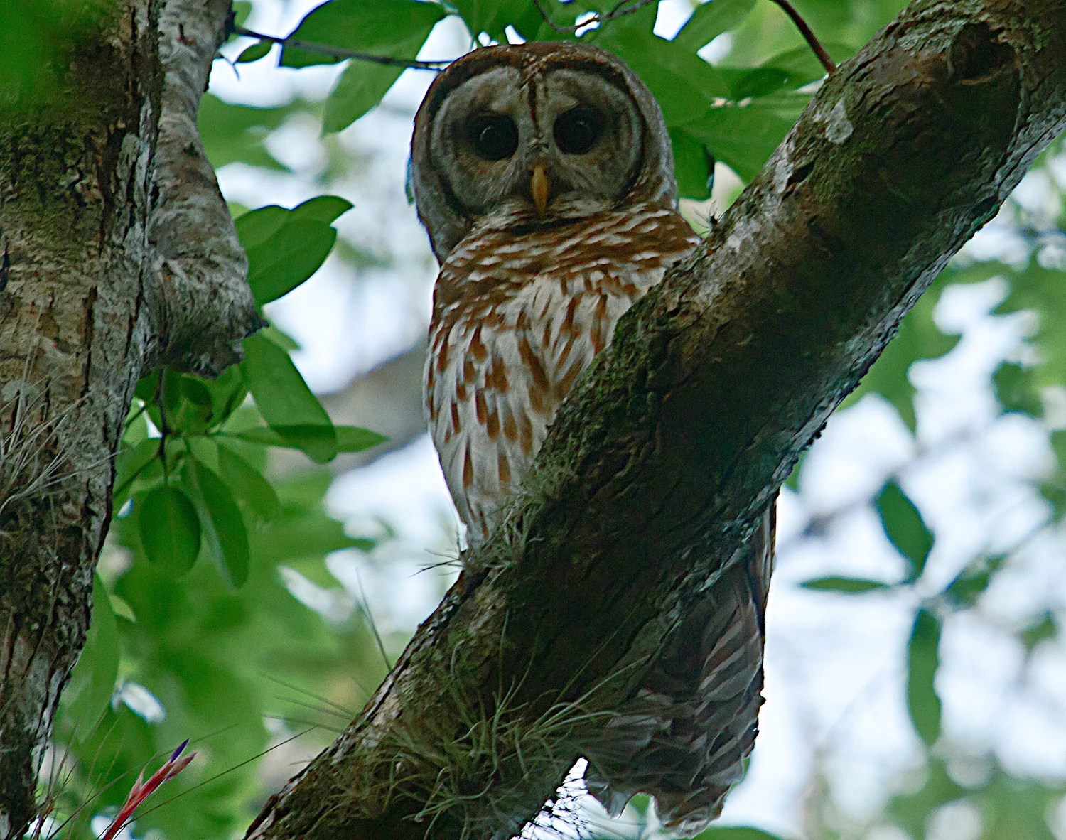 When you get the itch to travel scratch it