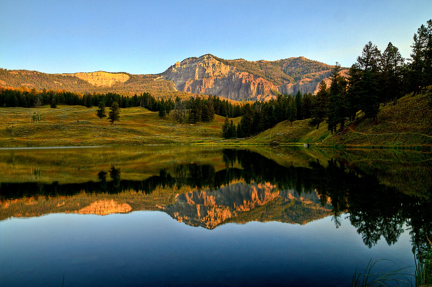 Trout Lake Yellowstone