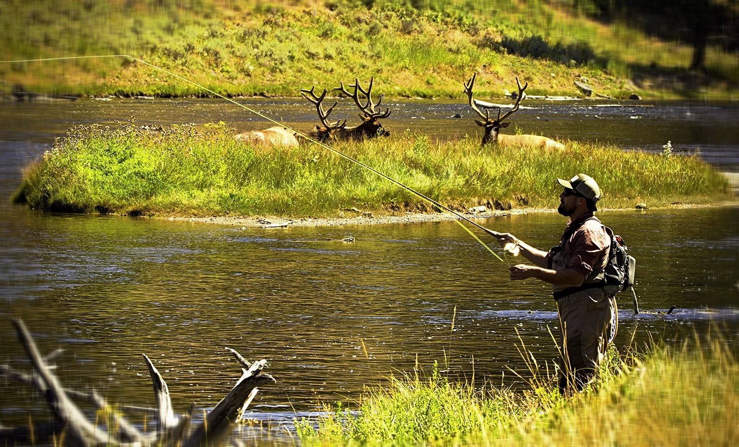 Fly fishing West Yellowstone