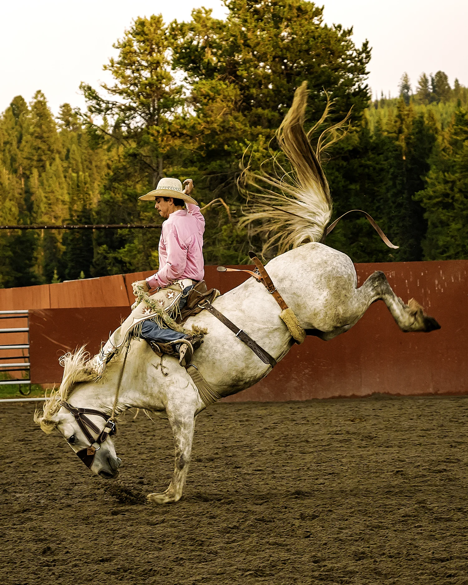bronc3-sm.jpg