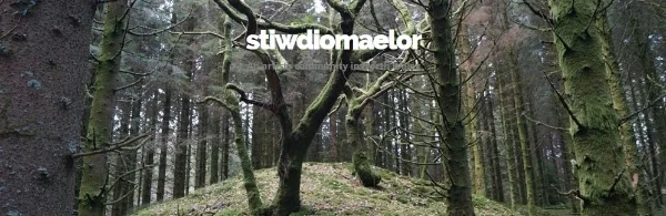 Stiwdio MaelorJPG.jpg