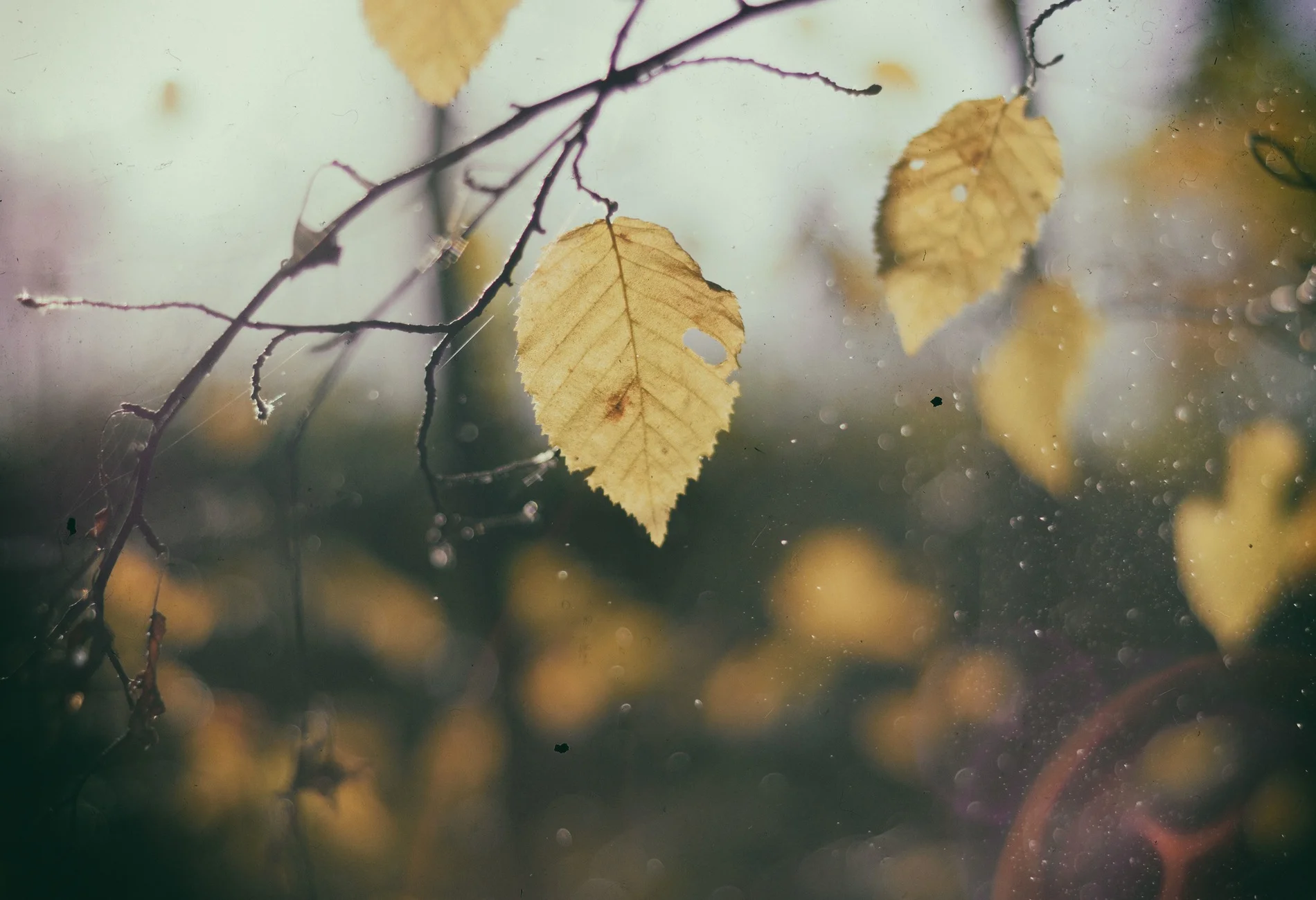 Self Care and Stress