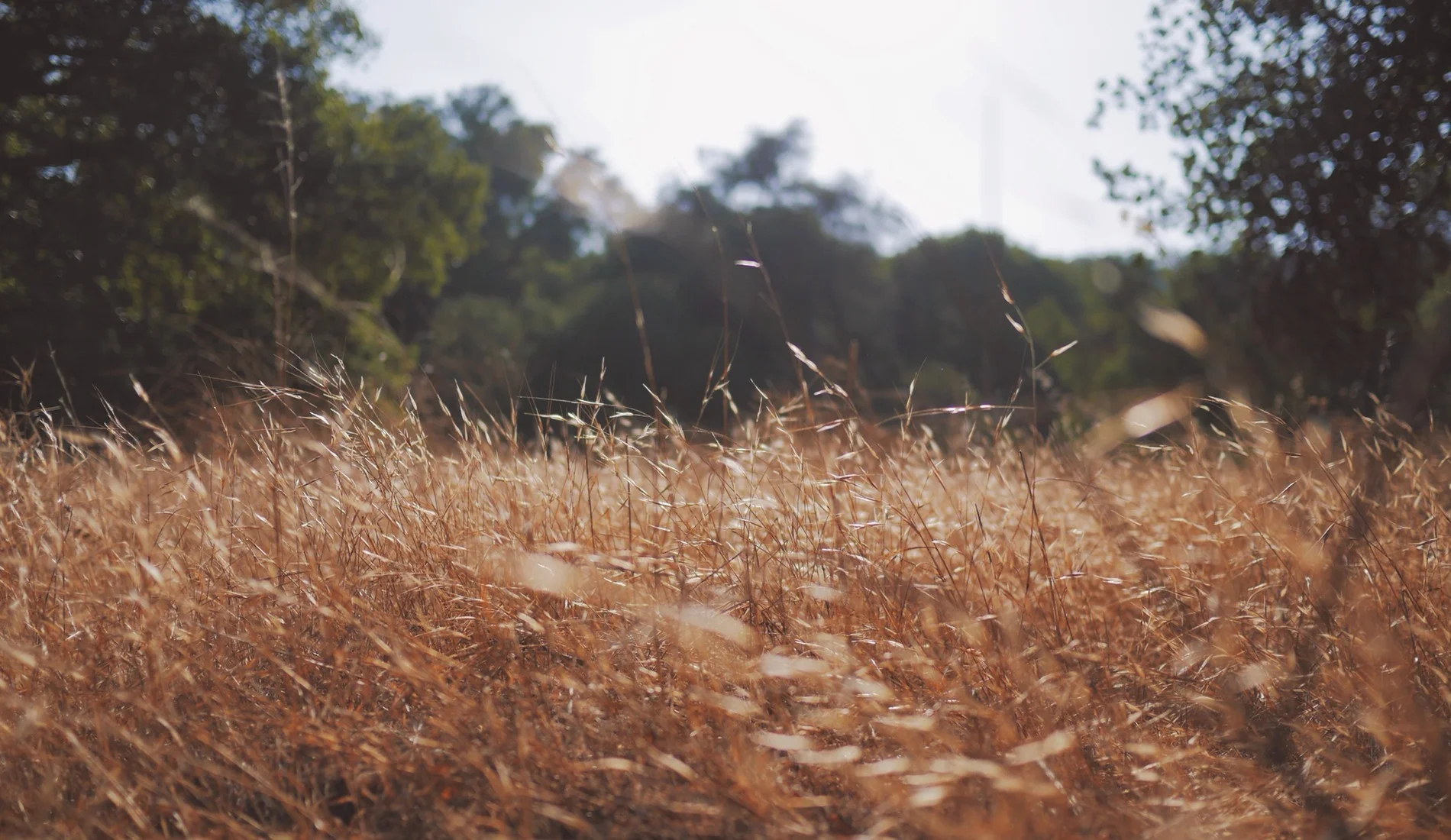 Benefits of Meditation