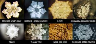 Examples of Dr. Emoto's work. 