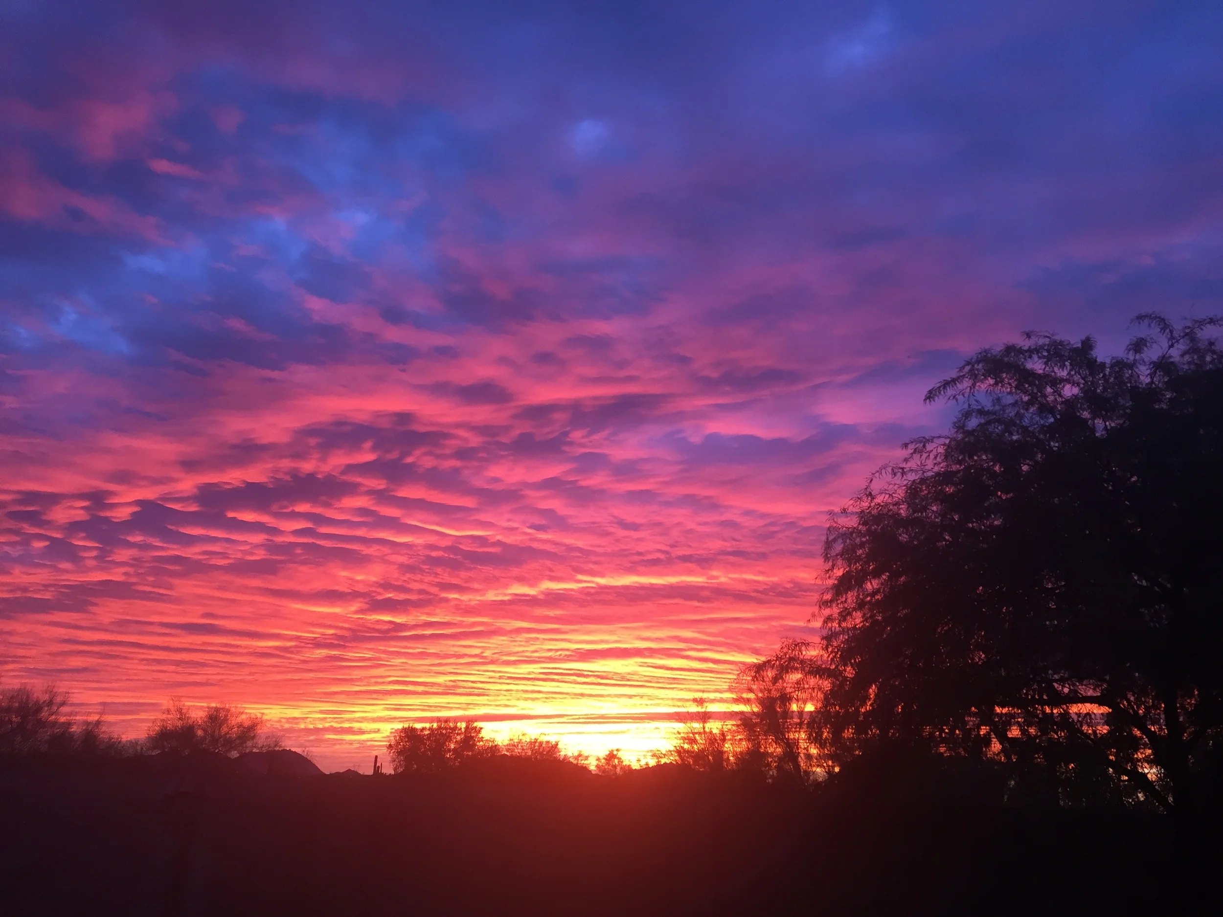 My “NO RESOLUTION” Declaration  