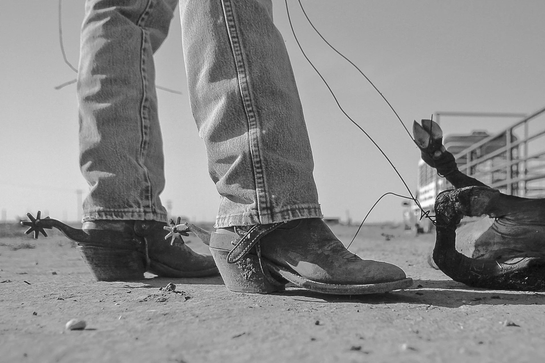 Real Cowboys, Southern New Mexico