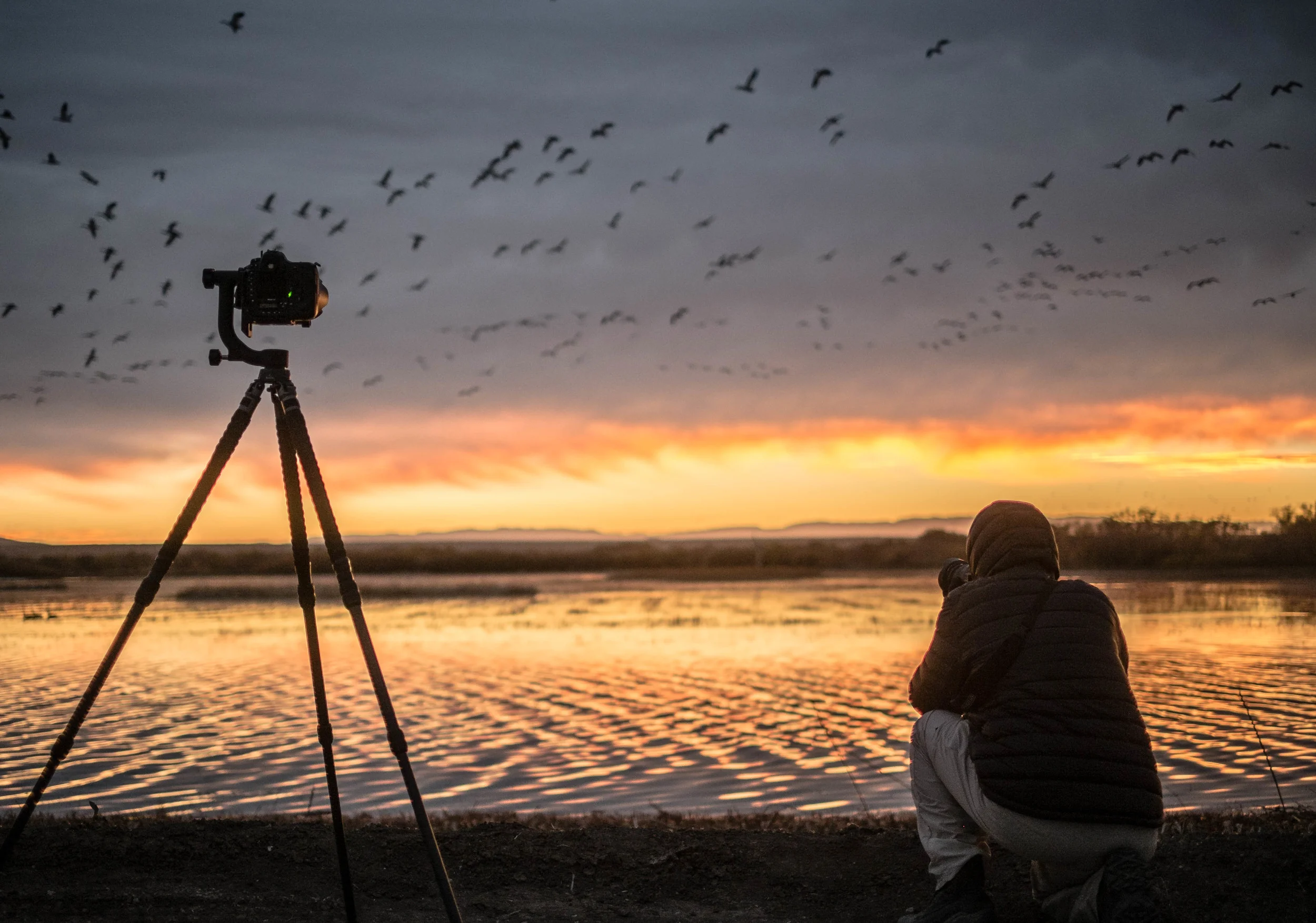 Picture perfect: Photographers flock to refuge