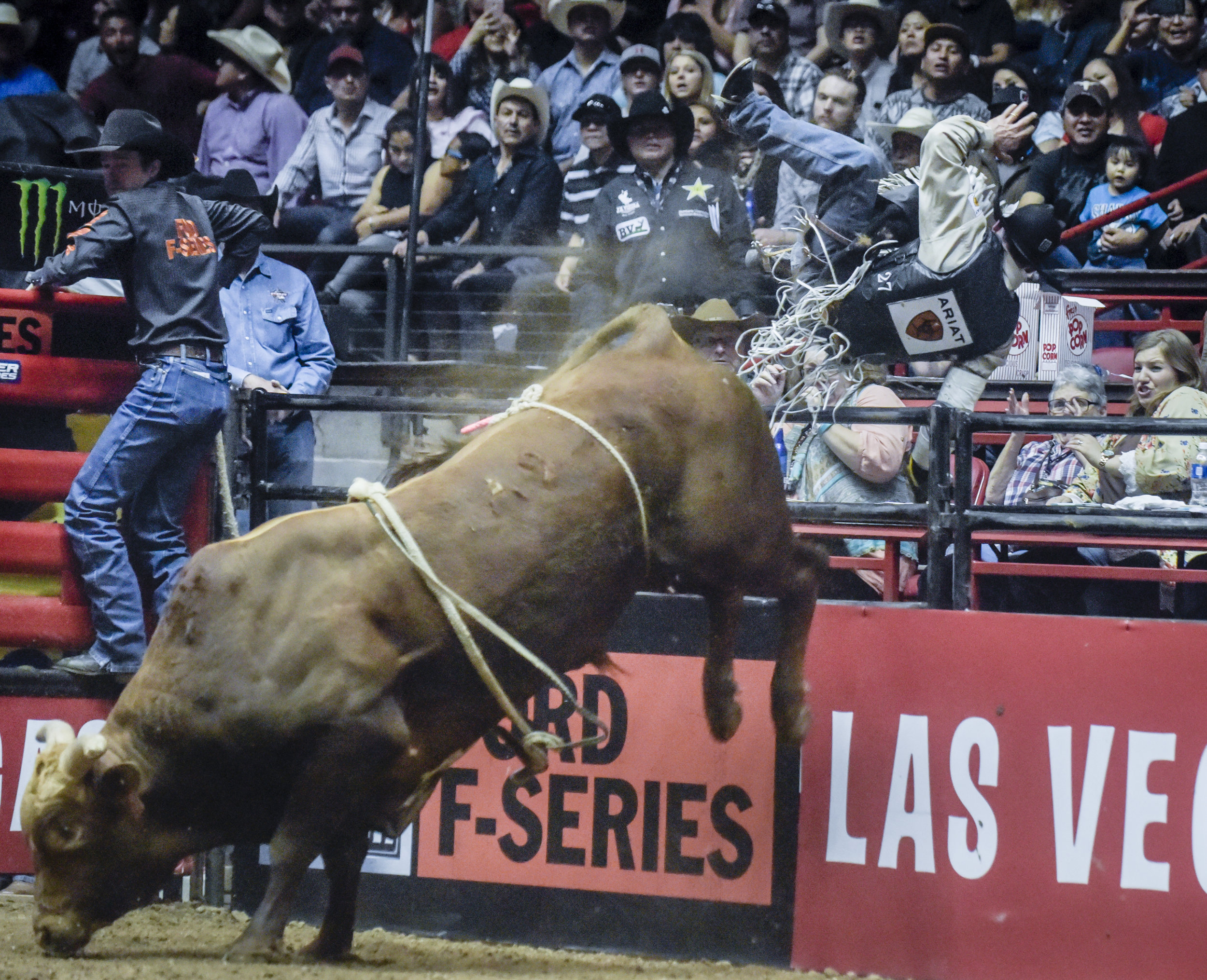 Marco Antonio Eguchi gets thrown to the first row and over the railing by the bull named Too Smooth on the second day of competition in the Ty Murray Invitational PBR event Friday evening at the Pit. Eguchi was able to walk away with the help of a medical team. 