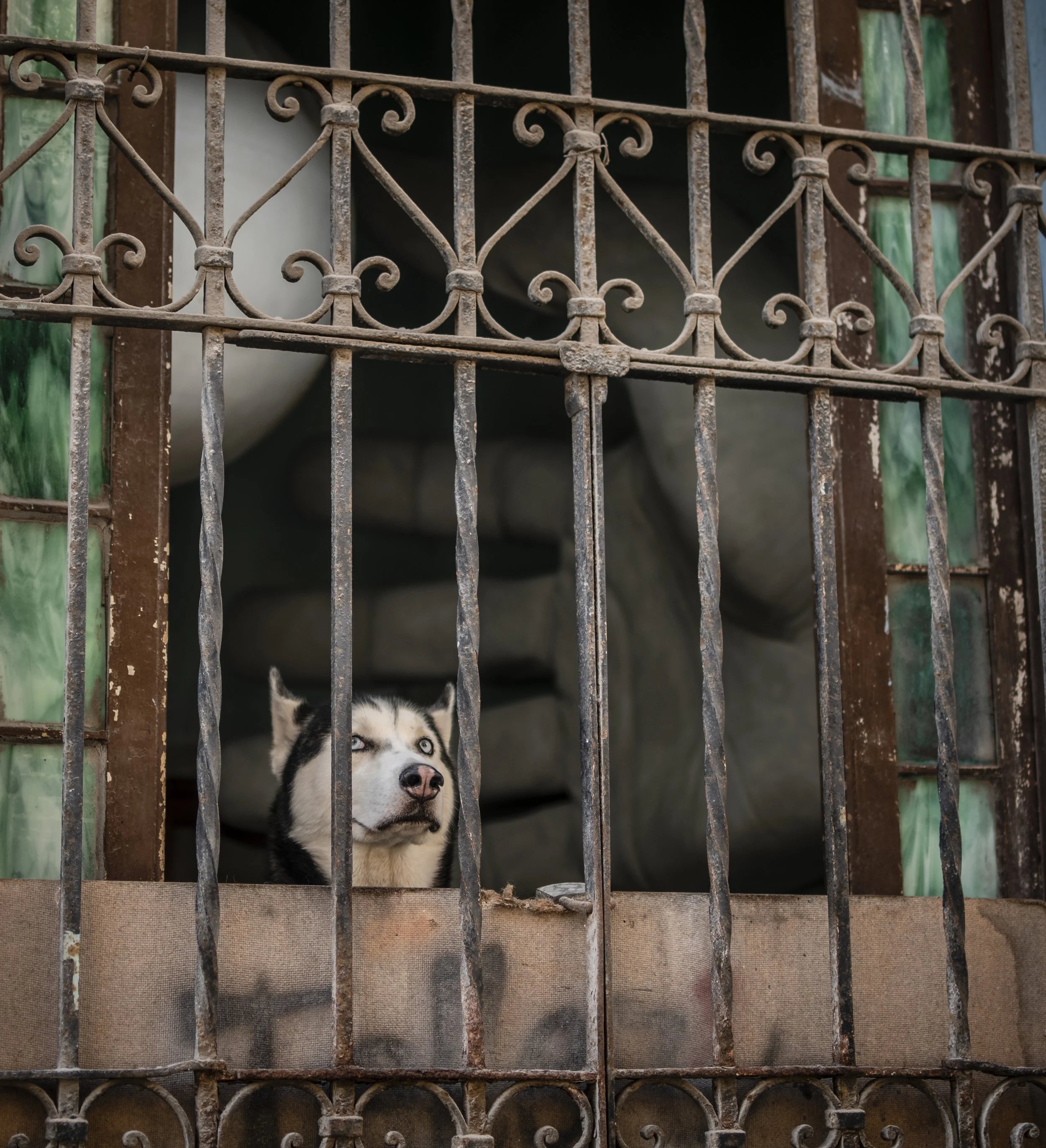 Window slap.   Old Havana, July 2019