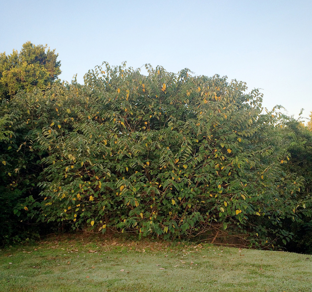 Ben Hillyer, 2014