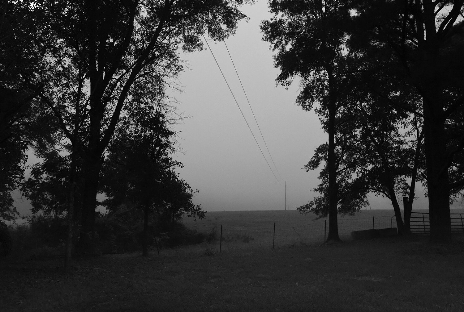 Morning_fog_powerlineWebsite.jpg