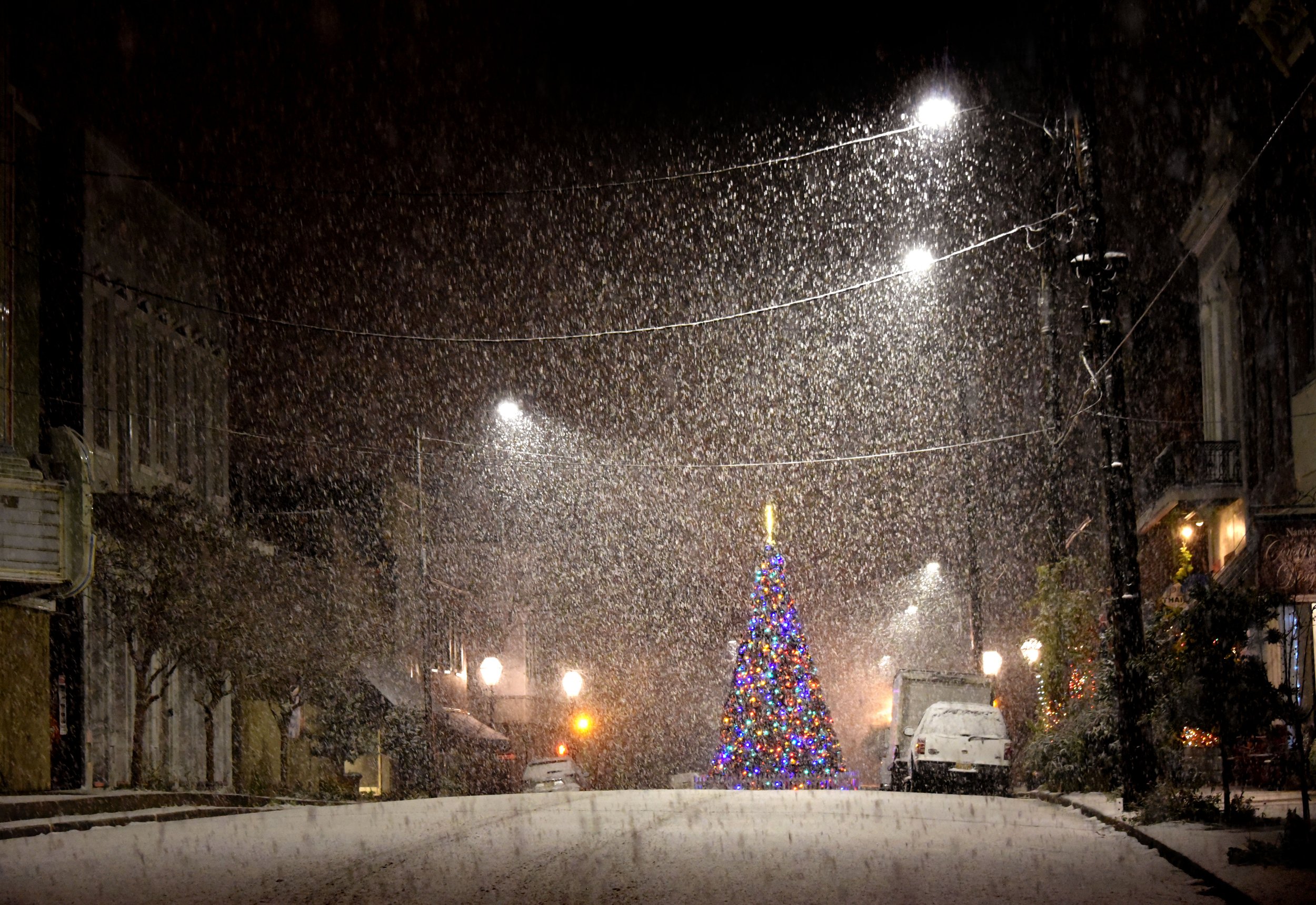 Snow_Christms Tree_commerceStreet.jpg