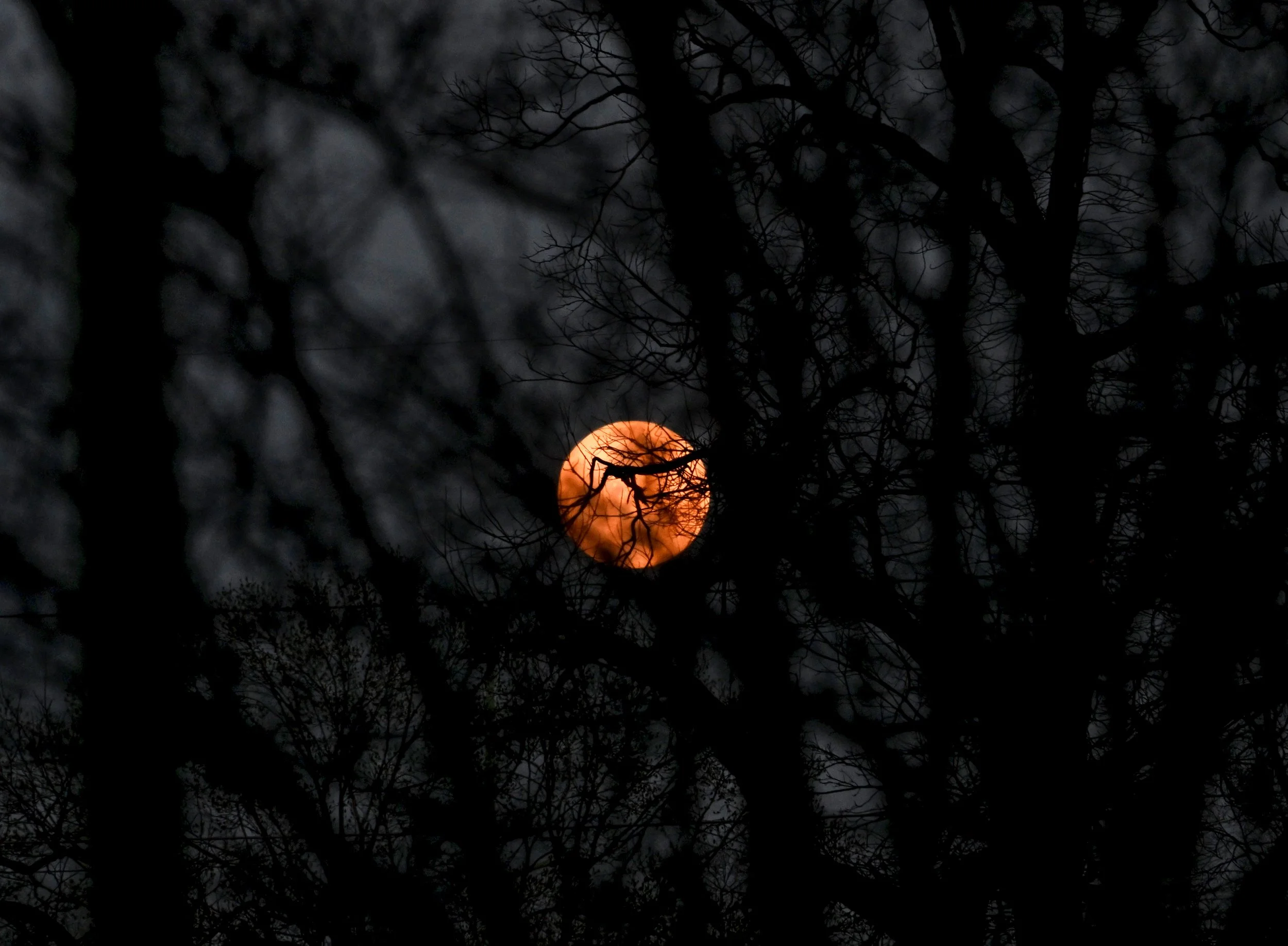 Goodnight Moon