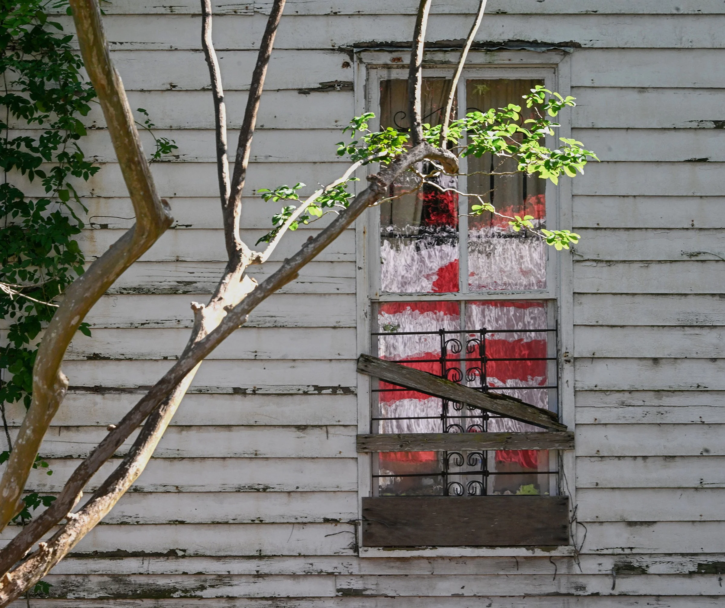 Window.jpg