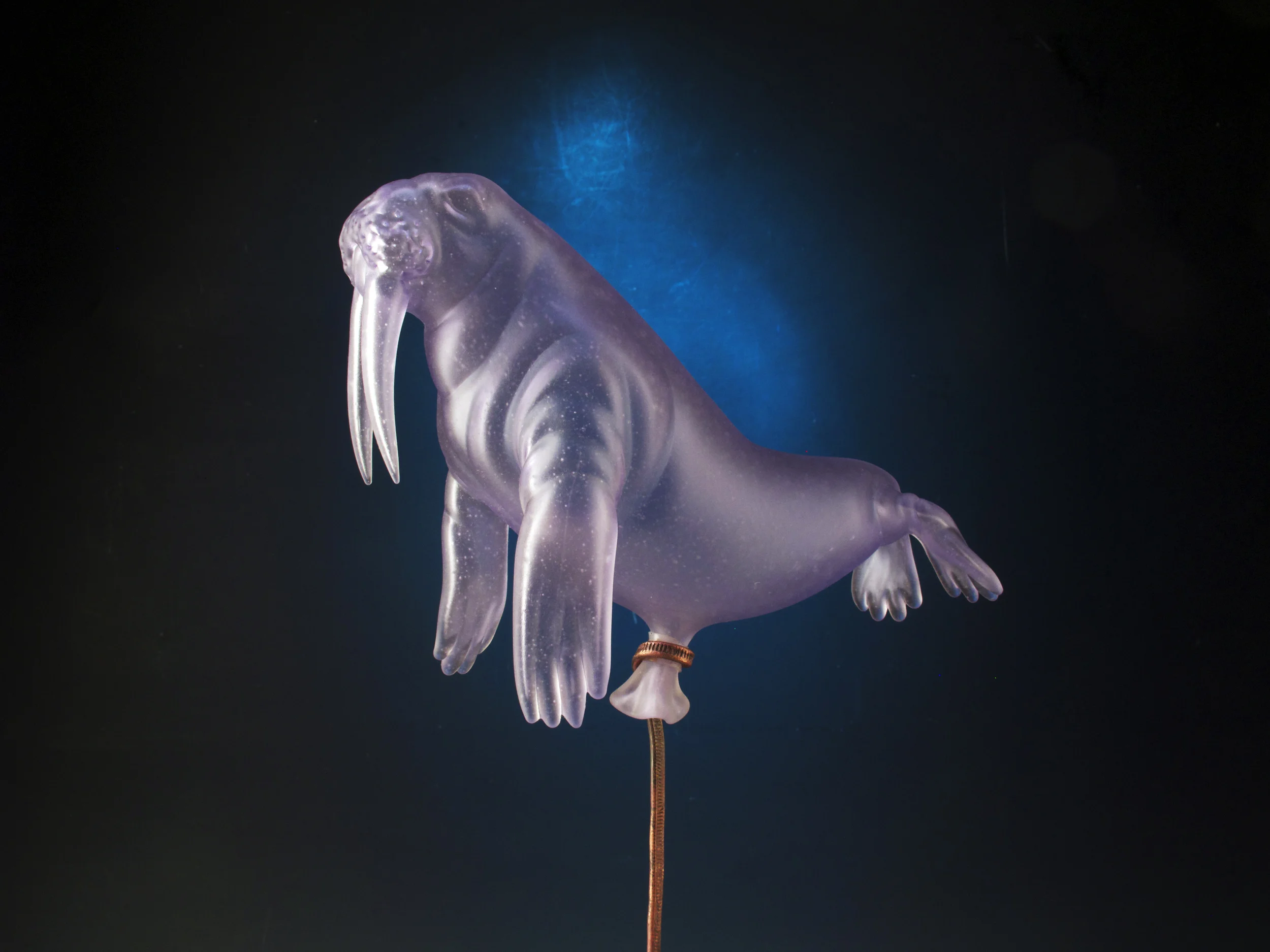 Walrus_1_crop.jpg