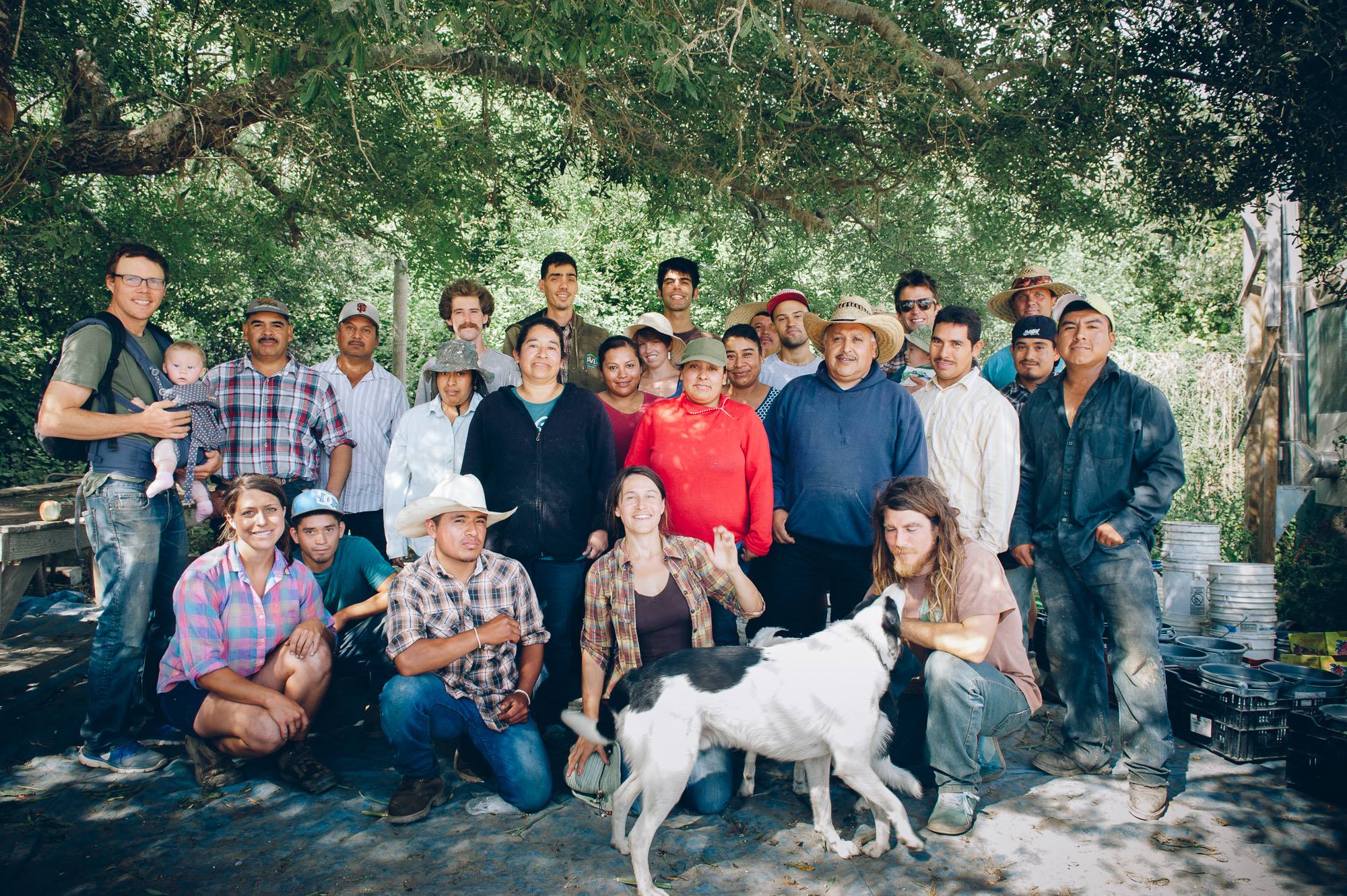 Bay Area farm: Fifth Crow Farm
