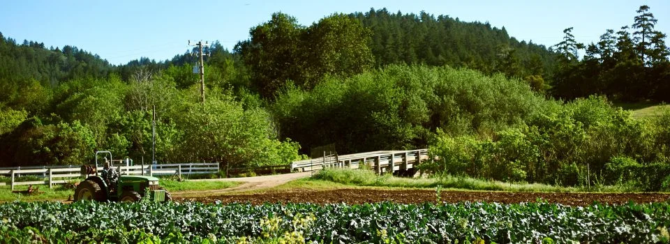 Blue House Farm