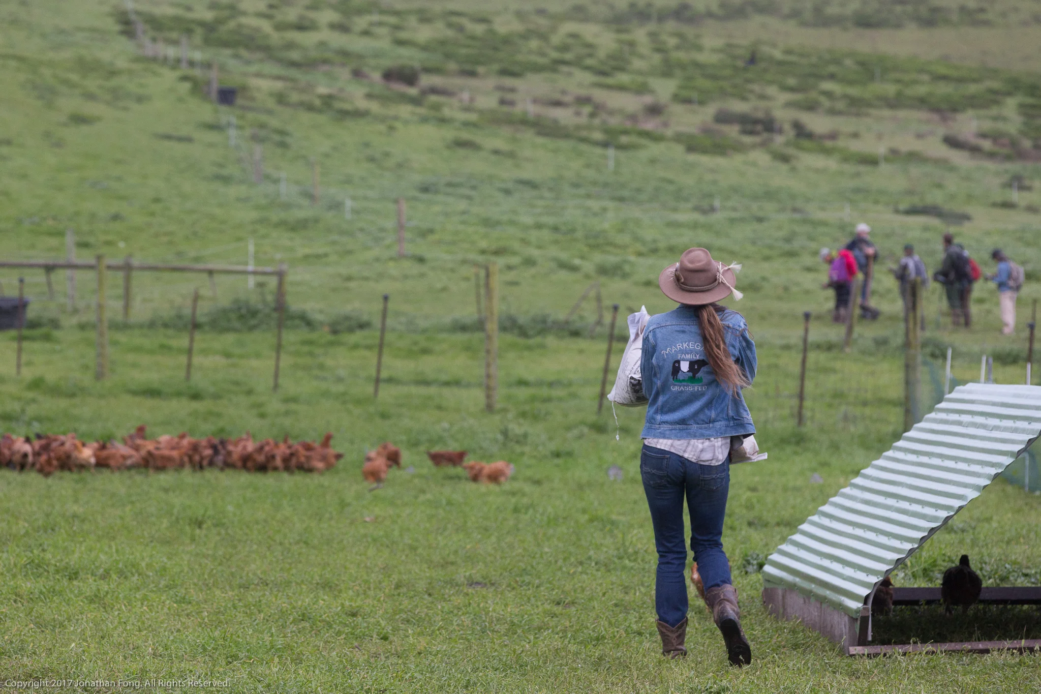 The Markegards run a diverse operation, supplementing their grass-fed cattle with milk cows, grassfed lamb, chickens and pigs. This diversity is key to achieving business viability and success, as are team members, like Sue here, who support Doniga and Erik with operations on the ranch.