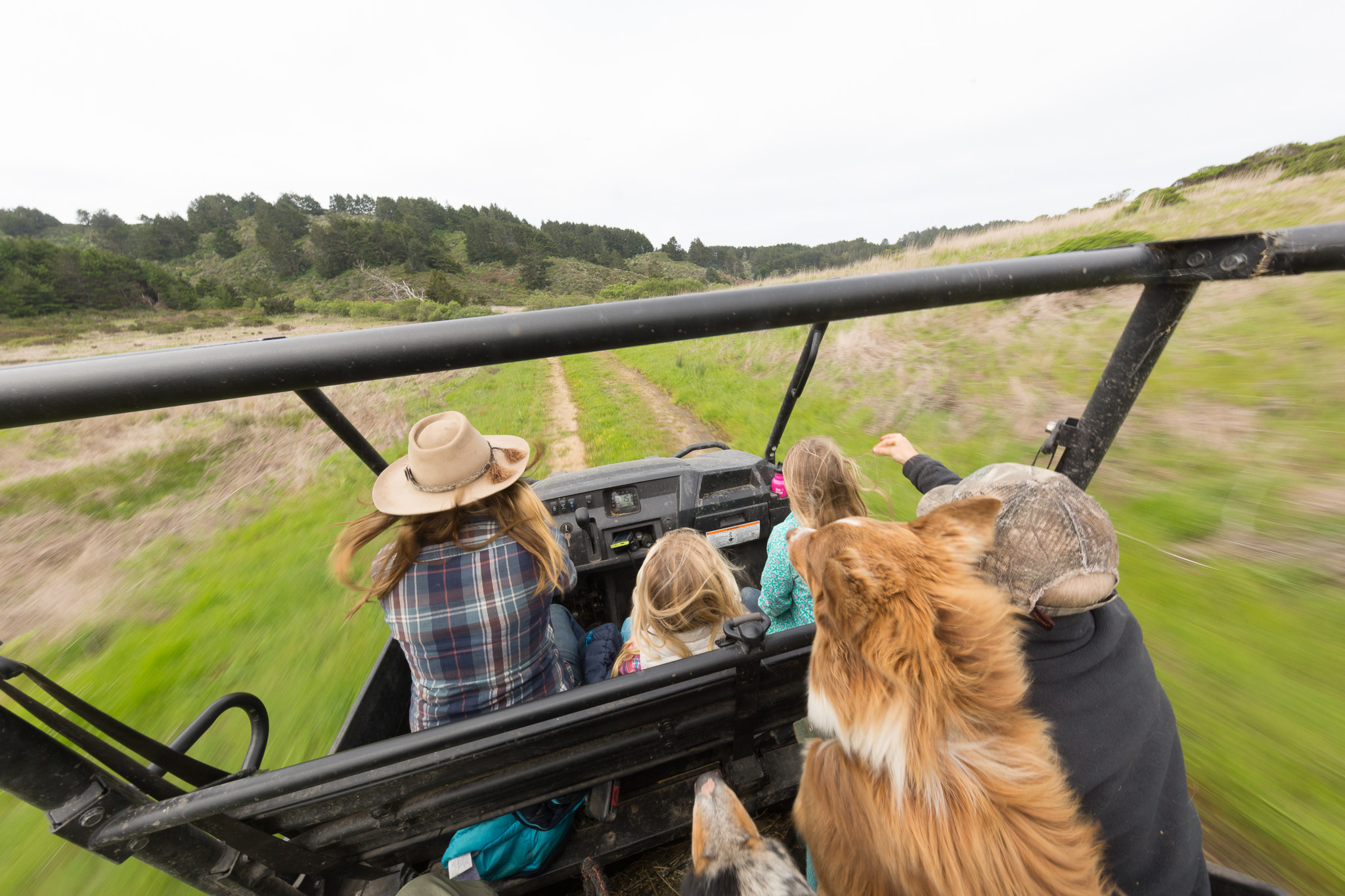 Approaching from another direction, Doniga, their youngest, Quill and Quince, and a farm dog wrangle the other half of their herd. Quill and Quince know that their mom is out working, and if they want to spend time with her they can join her for a cruise on the UTV, or get on the horses to move cattle. Like older siblings Leah and Larry, they’re discovering their passions within the family business and the ways they most connect to the land.