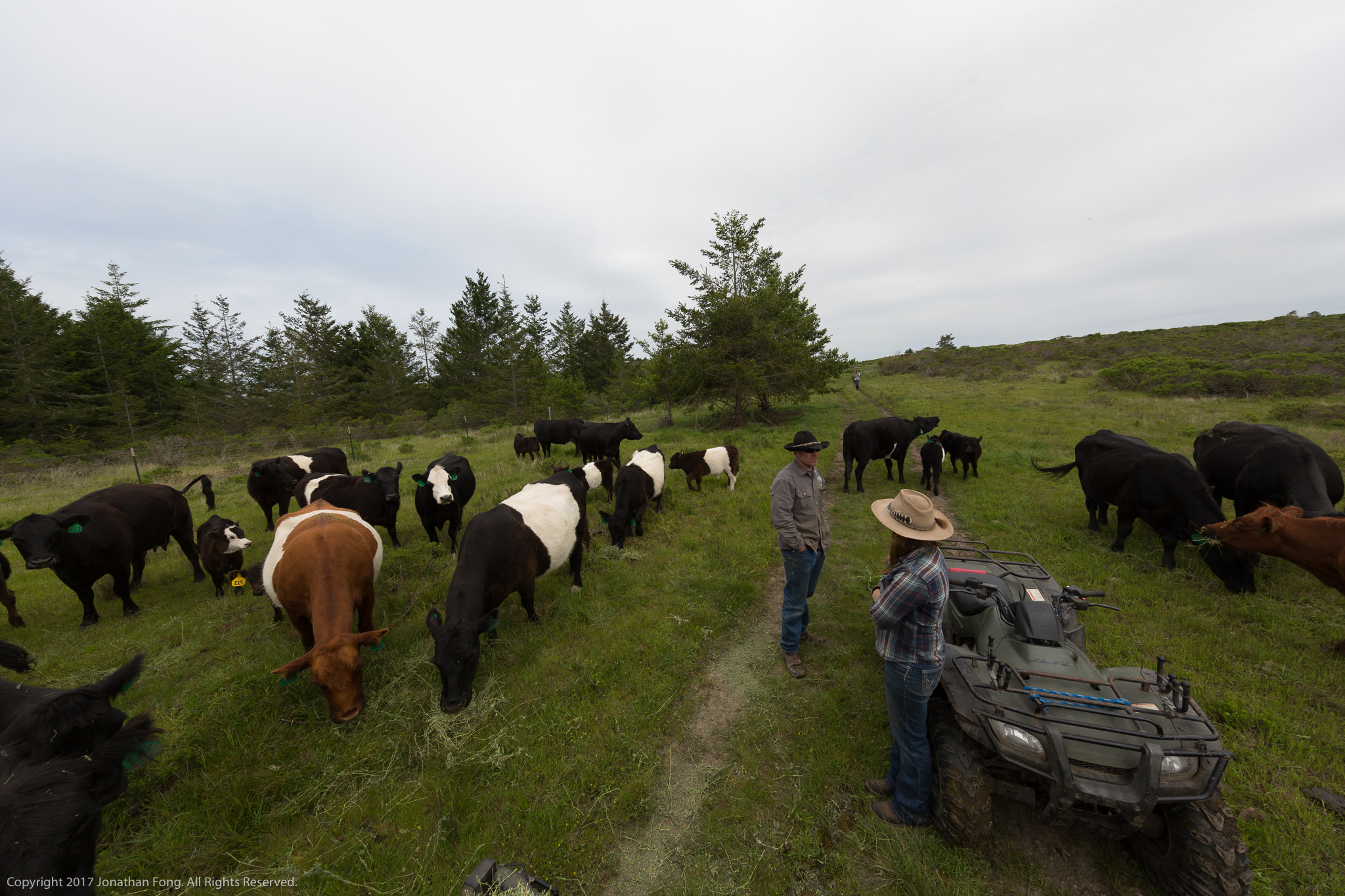 An accidental introduction and a shared interest in the localized ecosystem brought Doniga and Erik together. They became friends, tracking mountain lions together, and as they grew close she learned more about ranching. Doniga’s wildlife tracking and permaculture background aligned well with how Erik and his family were already ranching.