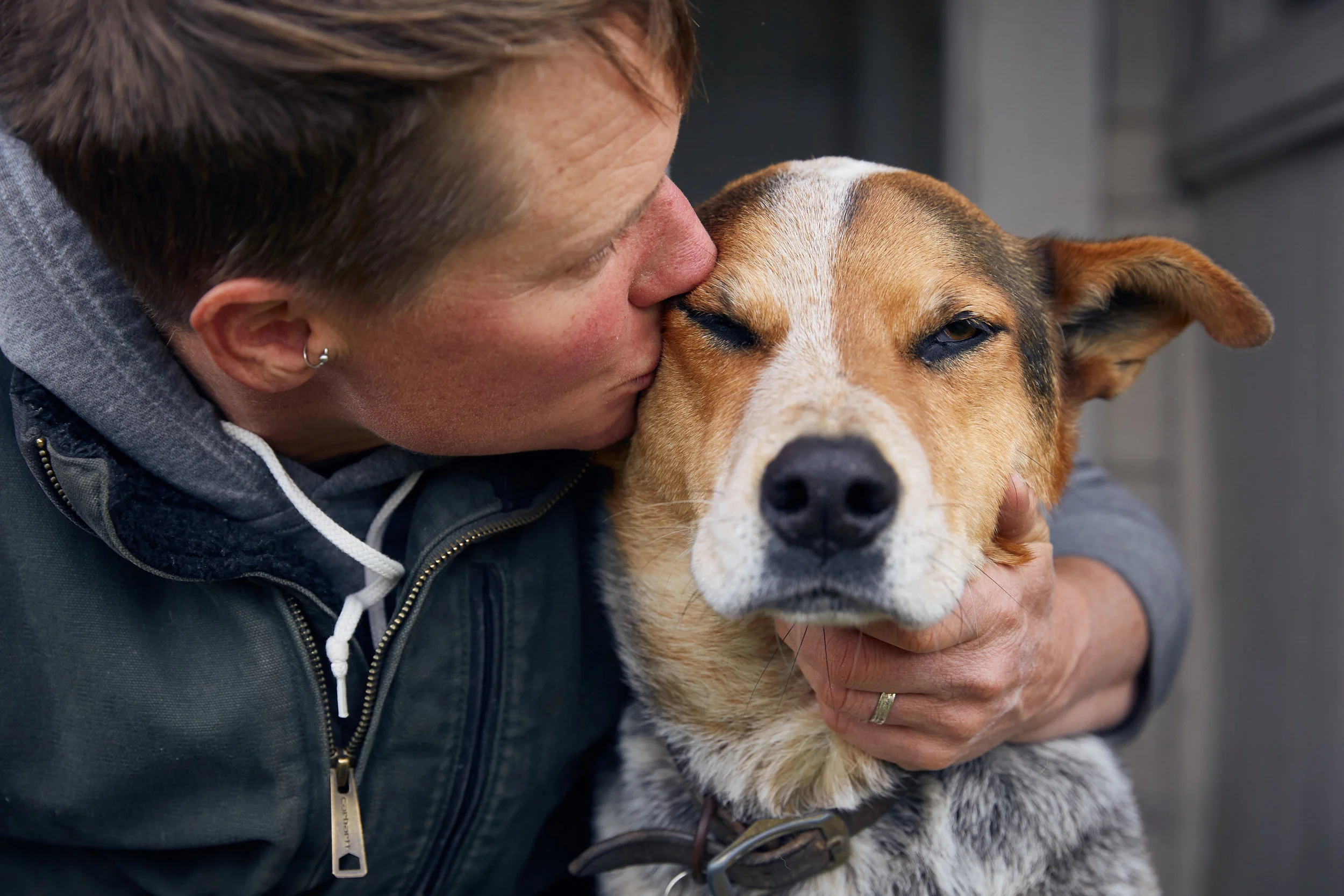 RDF_Appeal-18_3_Dogs_5.jpg