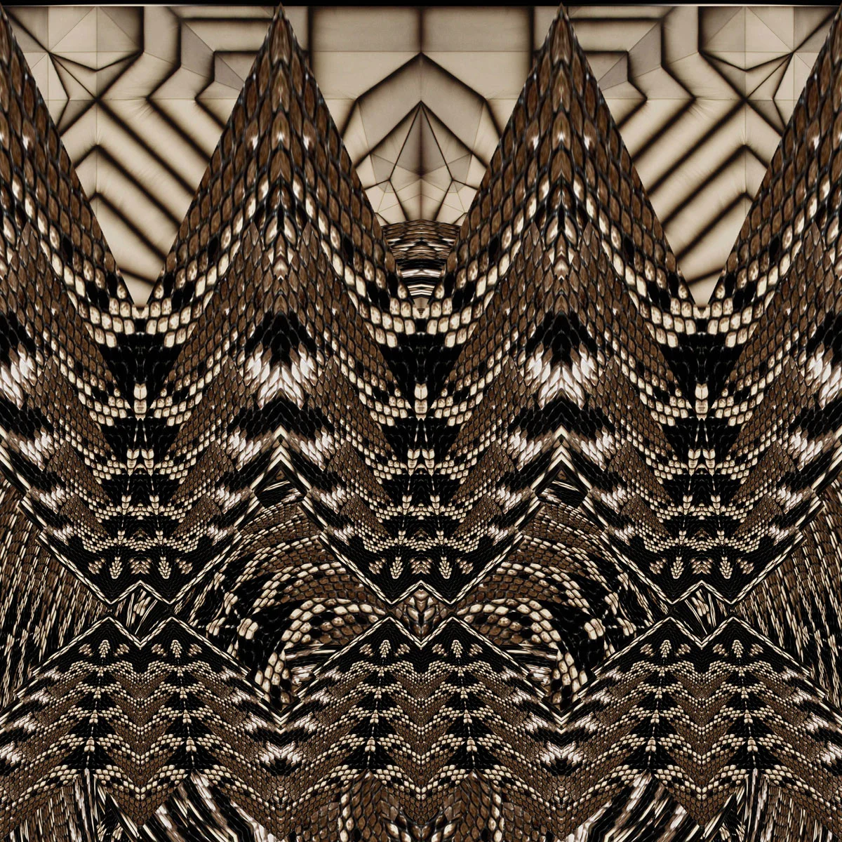 Chris Fort Creative - Abstract Python