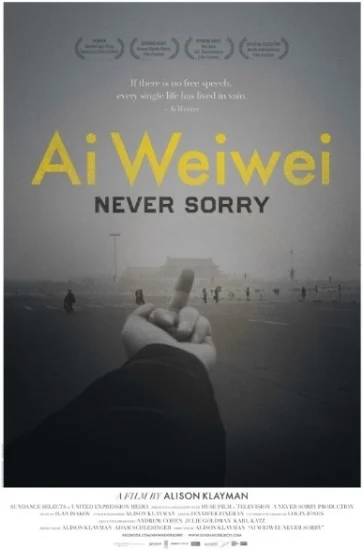 Ai Weiwei: Never Sorry is the inside story of a dissident for the digital age who blurs the boundaries of art and politics.