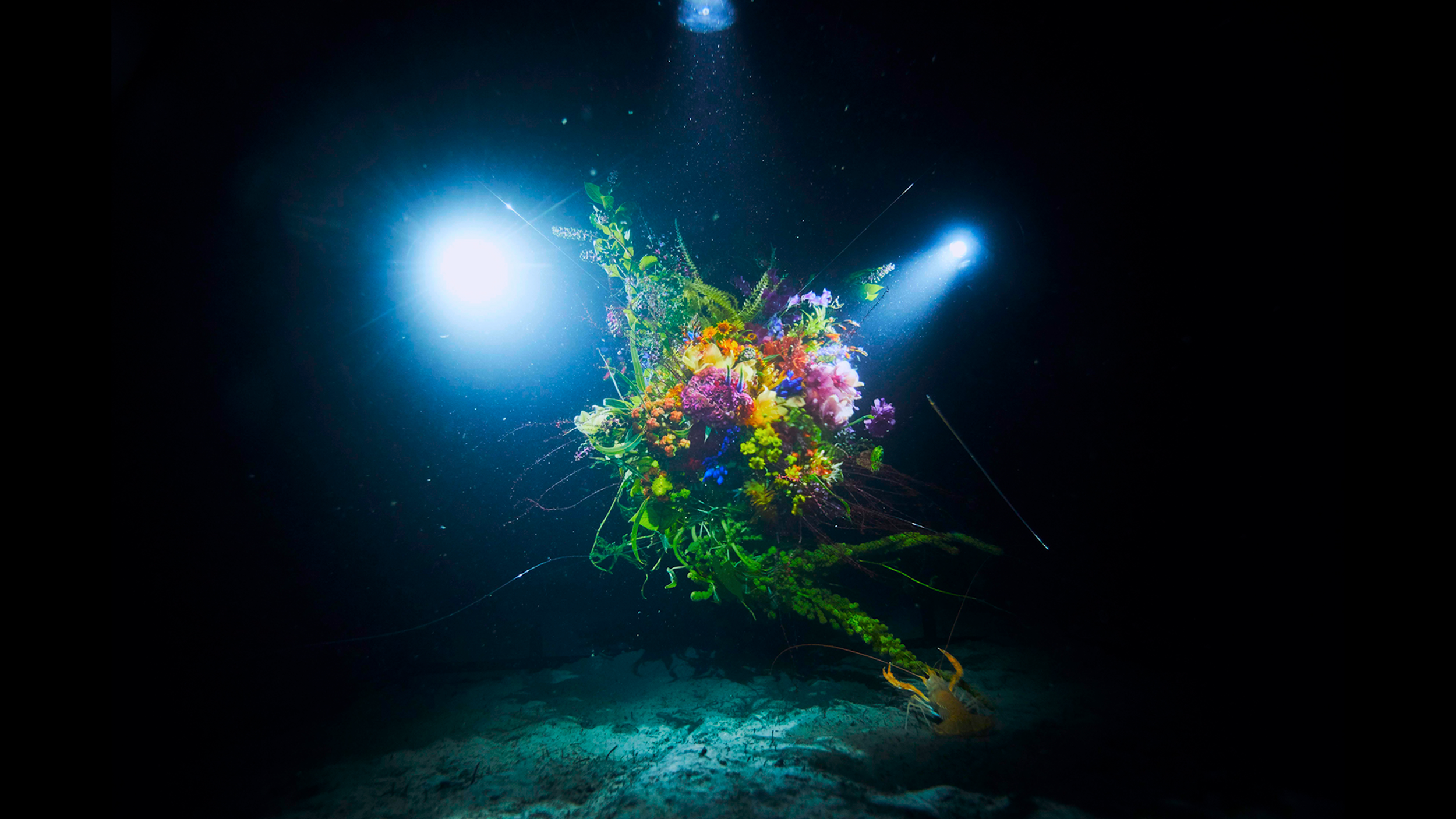 Azuma Makoto sinks his flower sculptures to the bottom of the sea Courtesy AMKK studio.png