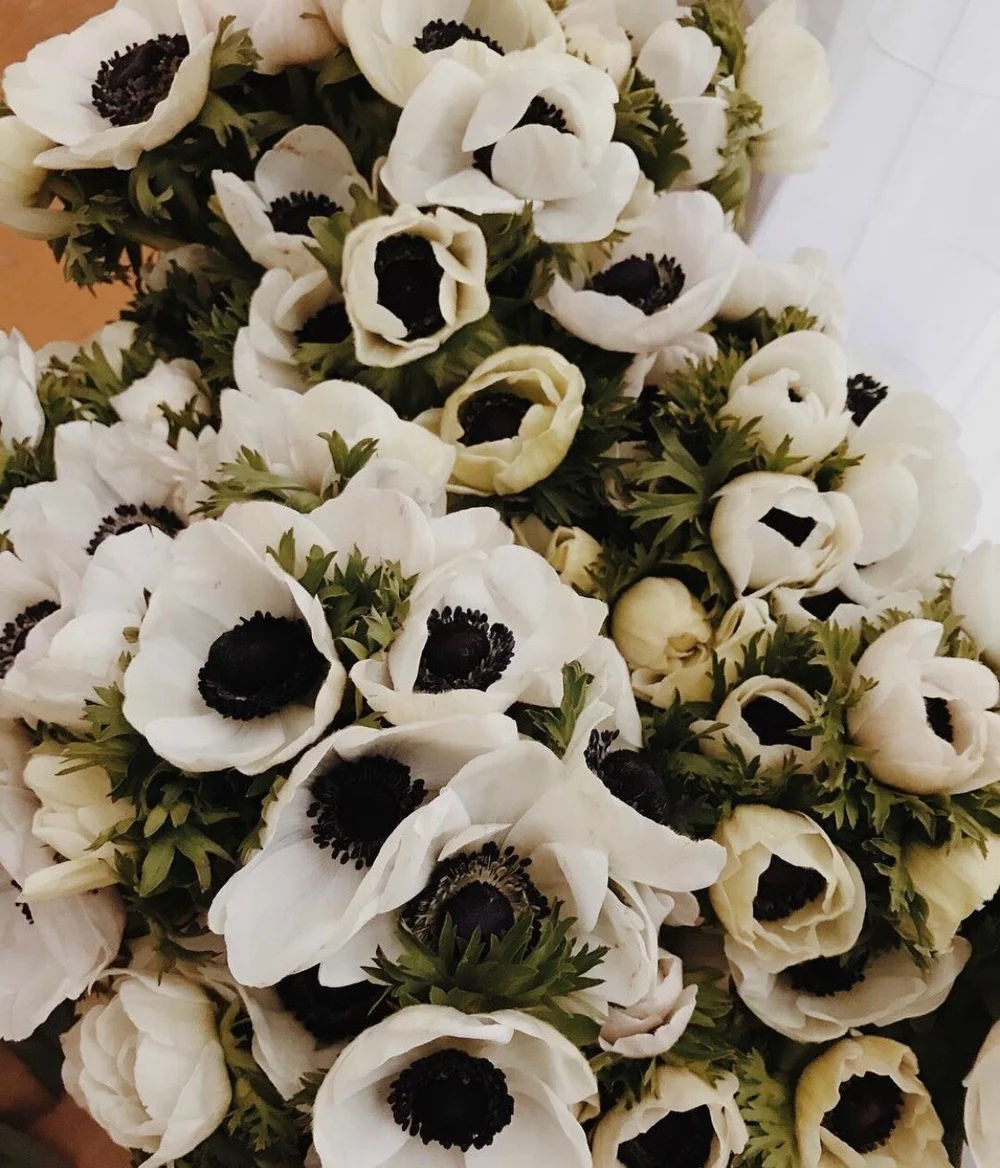 FullSizeRender 2.jpeg