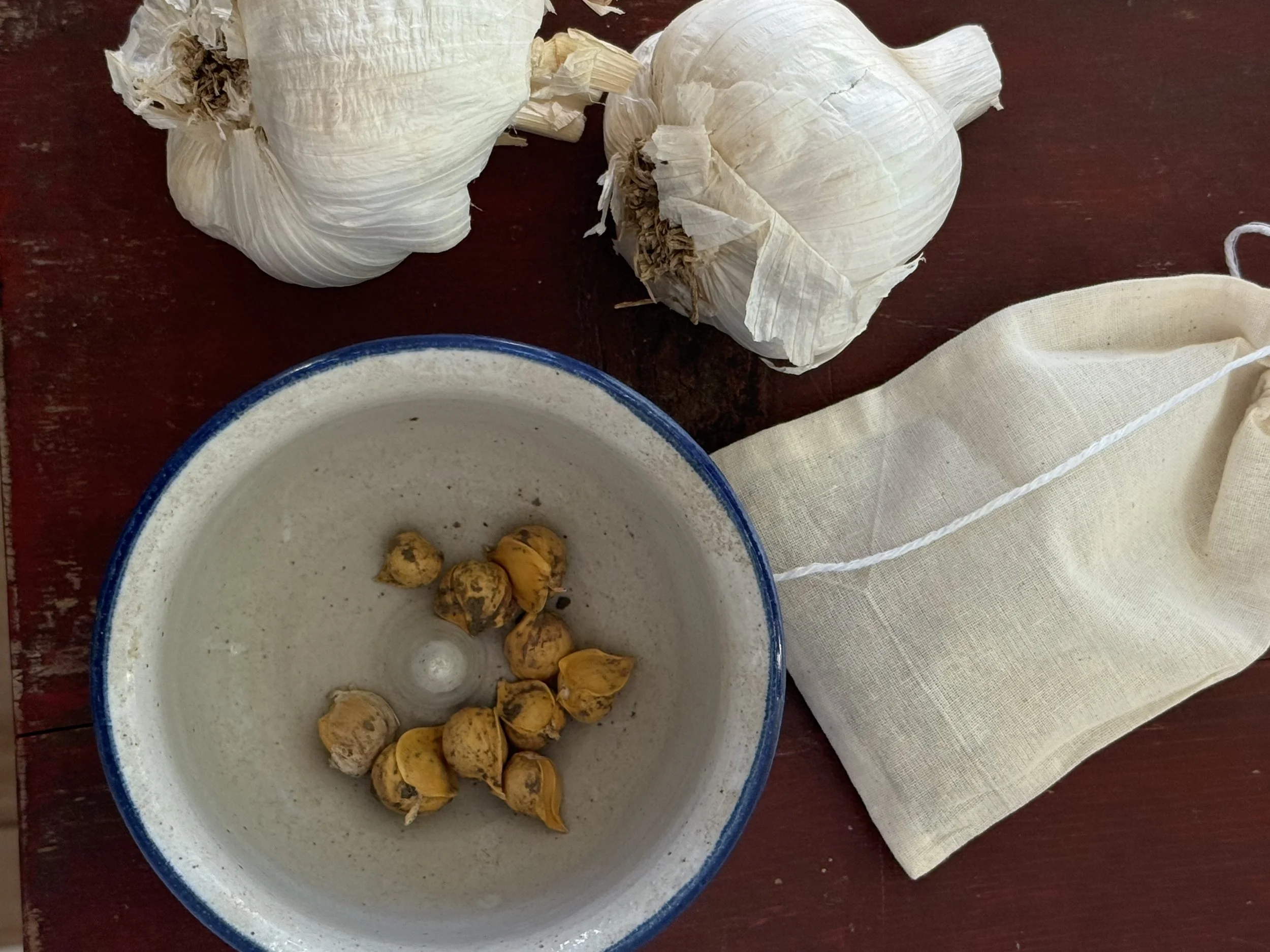 Elephant Garlic Seed