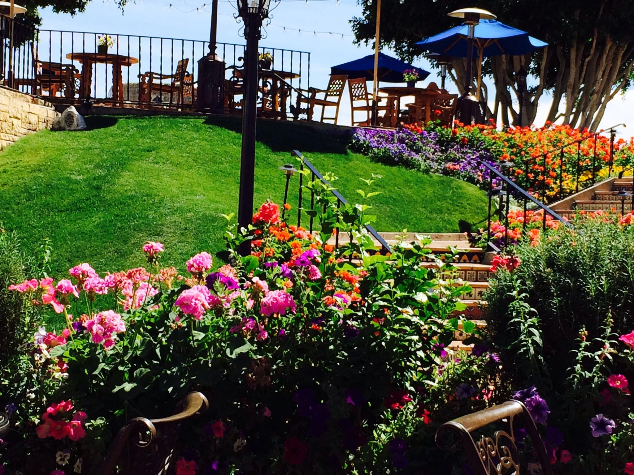 Here's the view from our lunch table...