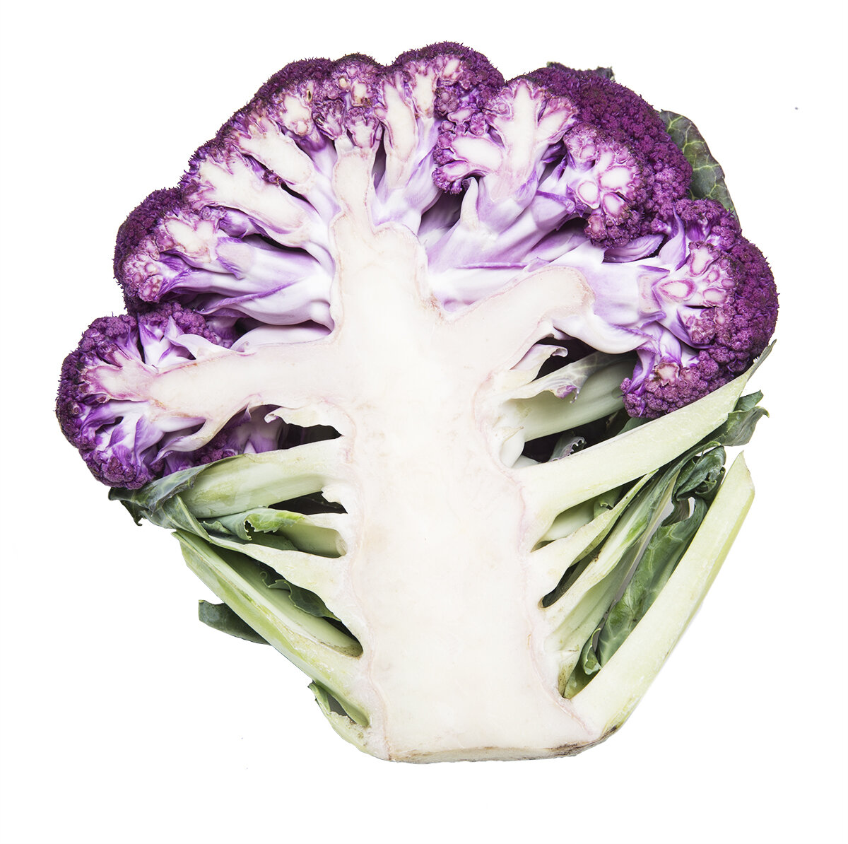 purple_cauliflower copy 2.jpg