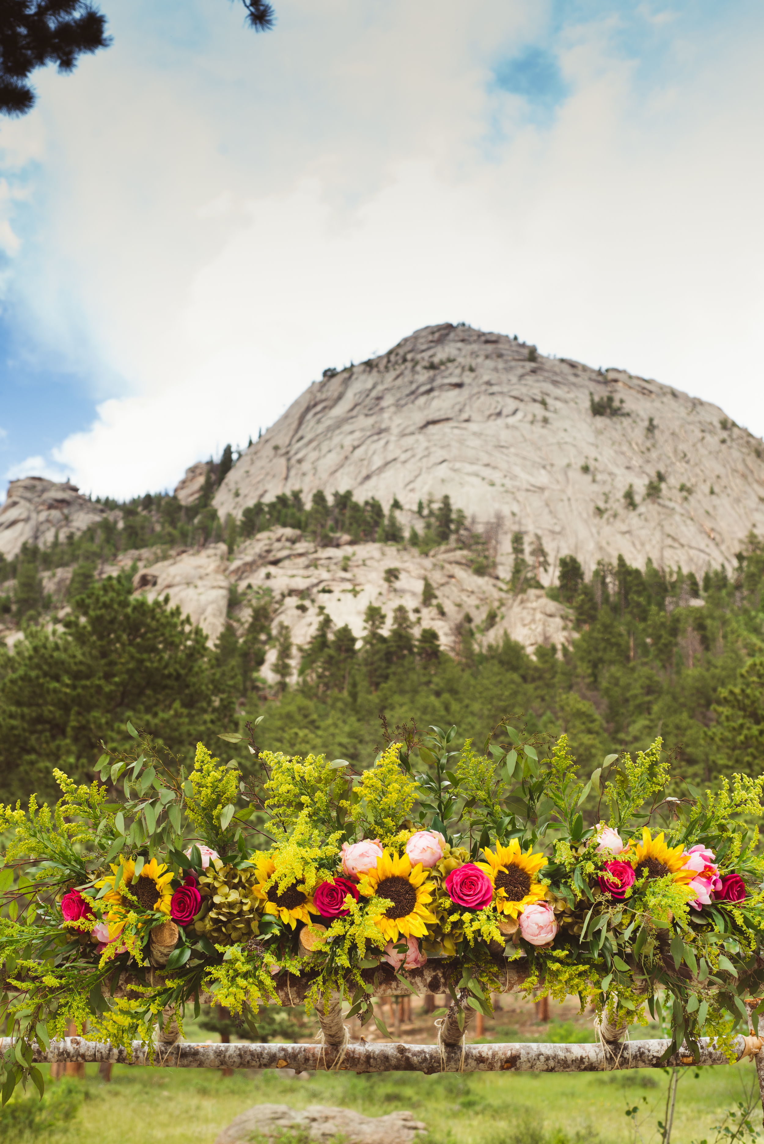 Gina_Jason_EstesPark_Wedding_6.jpg