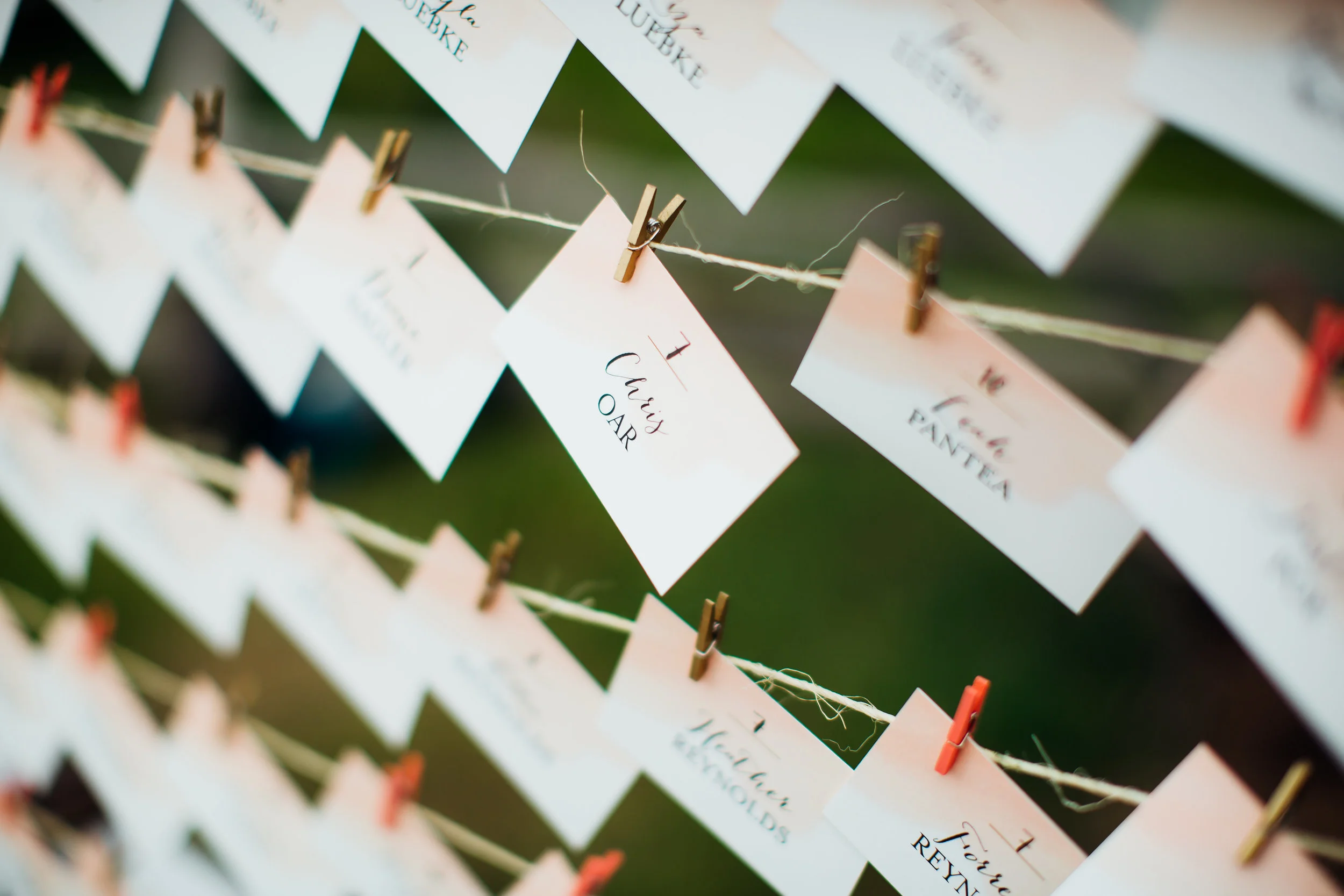 Kayla_Ted_Reception-30.jpg