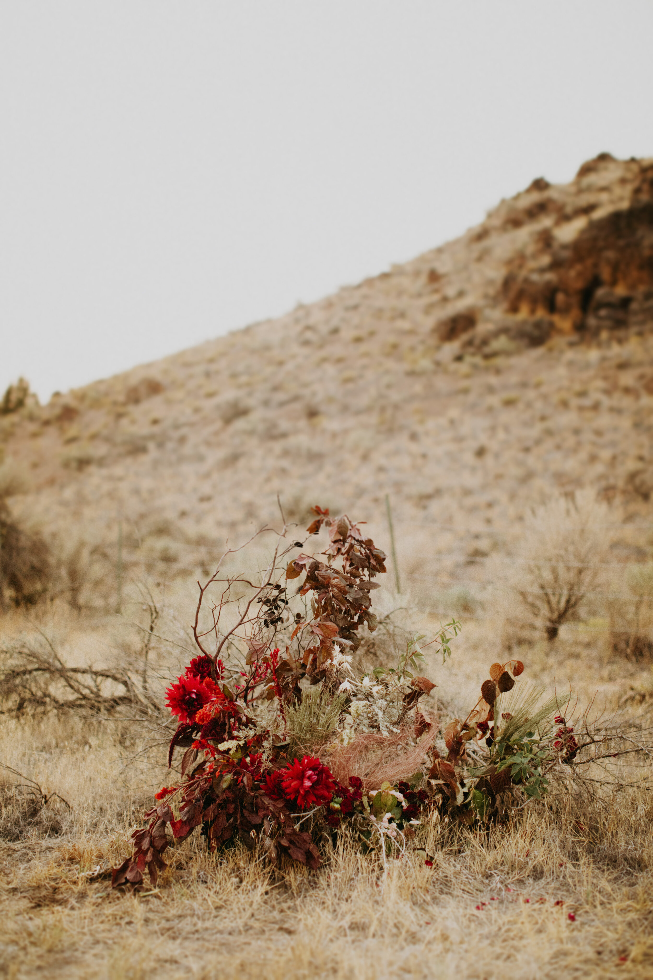 Painted Hills Styled Shoot_-7.jpg