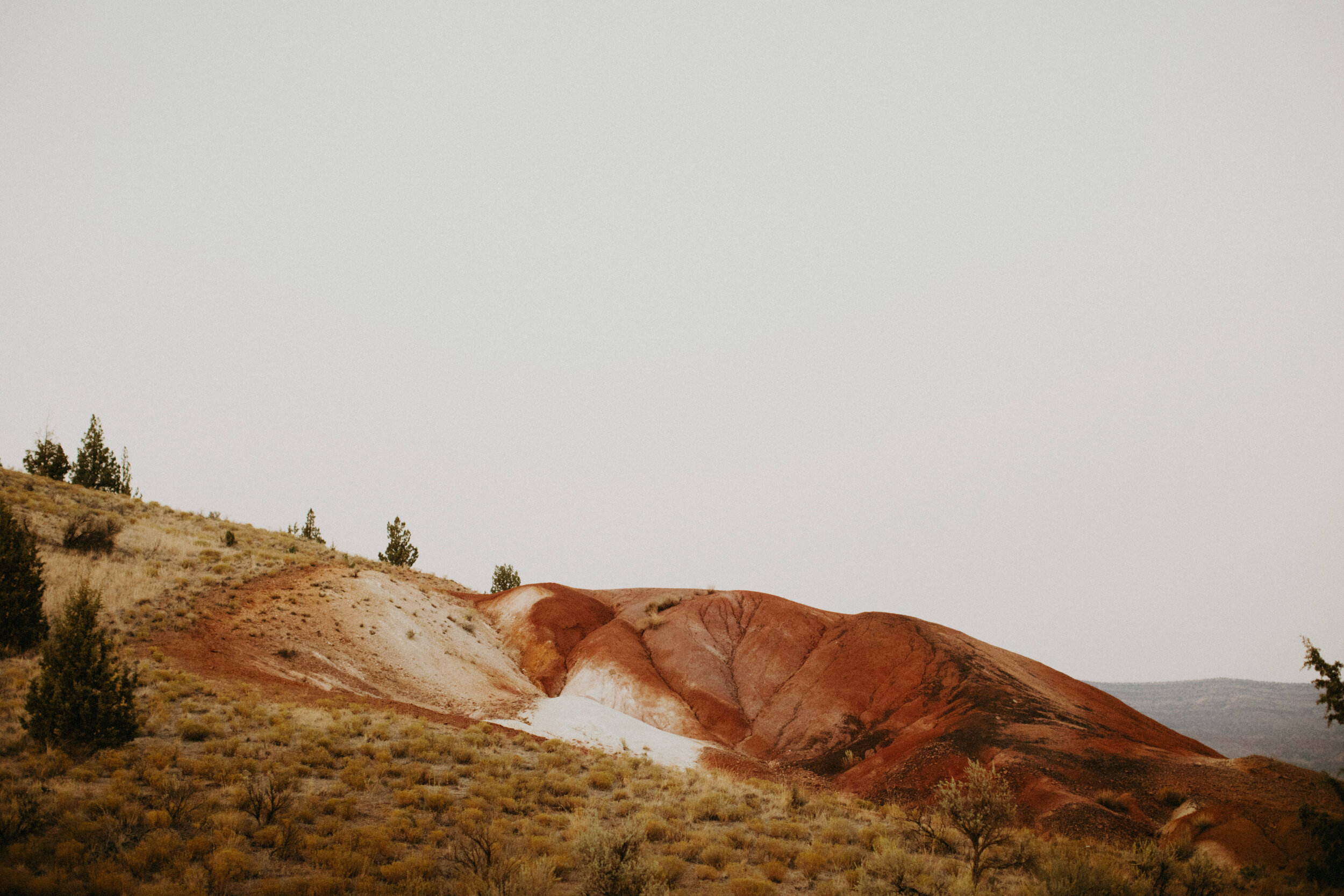 Painted Hills Styled Shoot_-11.jpg