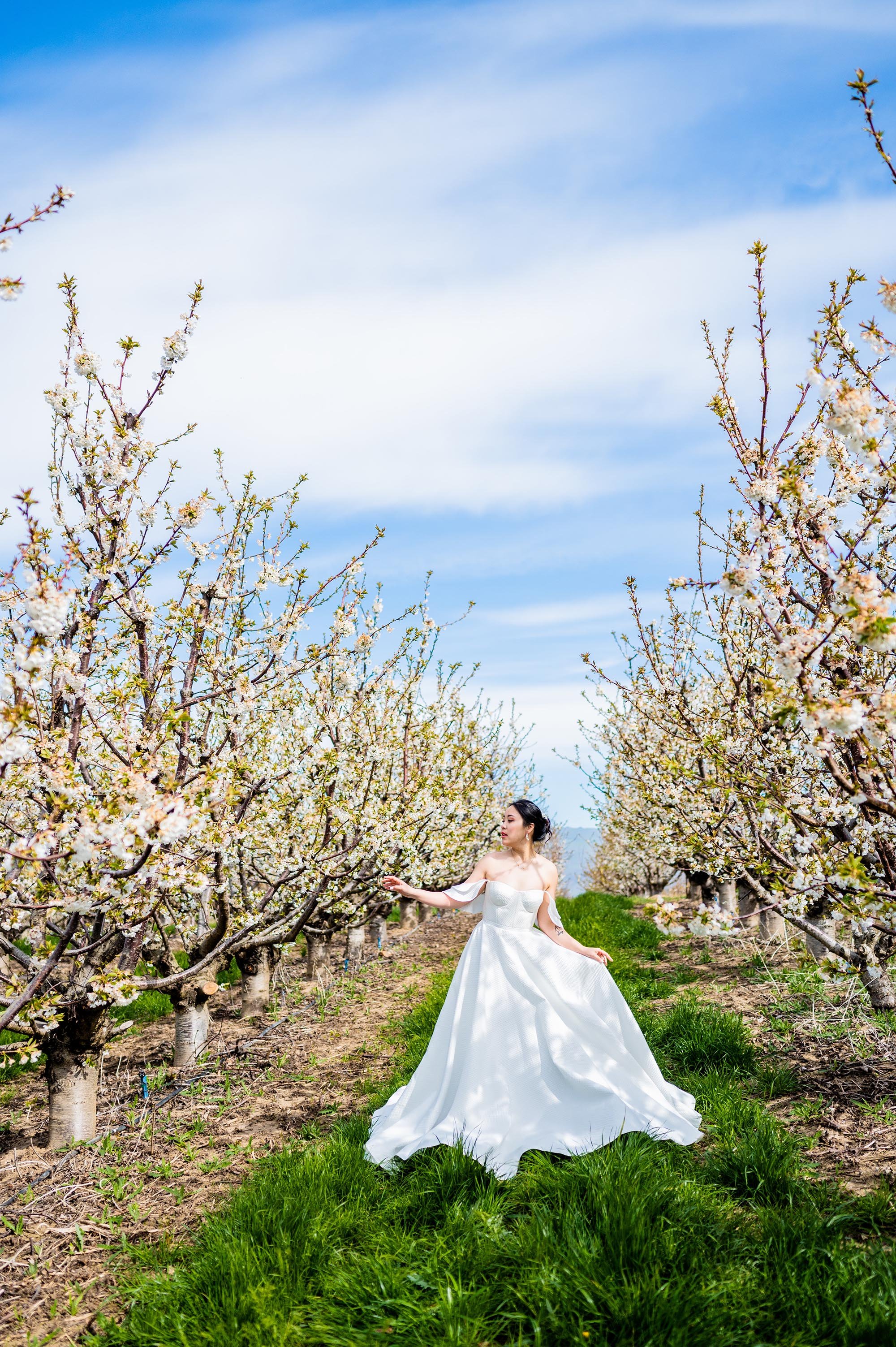 Alena-Leena-Mimosa-Wedding-Dress-Cherry-Blossom-03.jpg