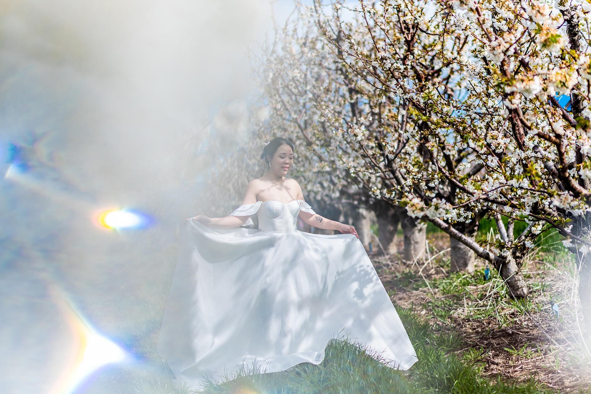 Alena-Leena-Mimosa-Wedding-Dress-Cherry-Blossom-11.jpg